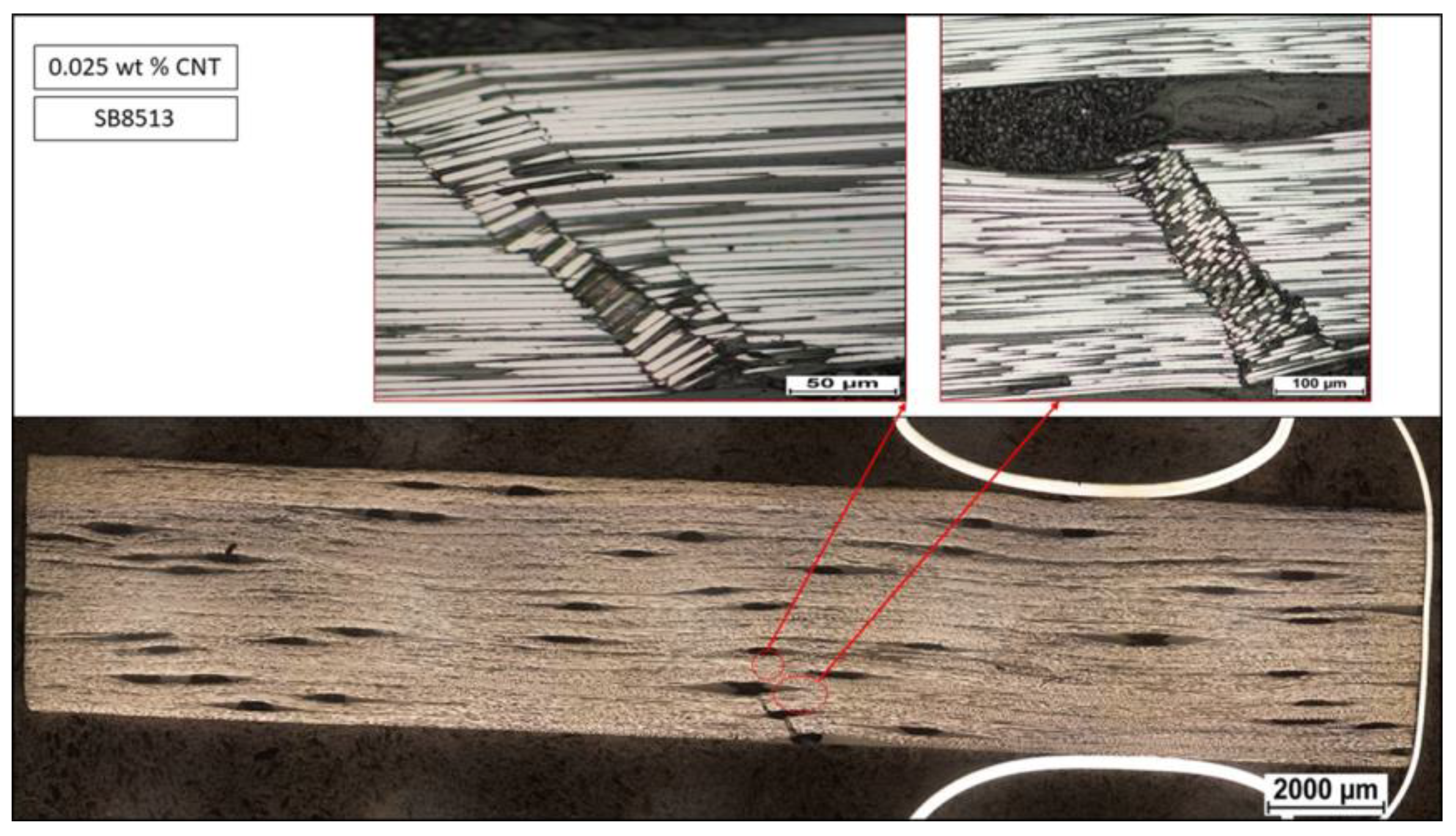 Fibers 06 00071 g006