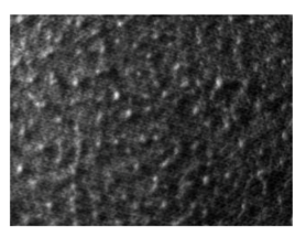 Fibers 06 00073 i001