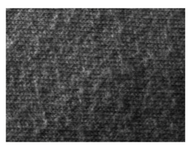 Fibers 06 00073 i004
