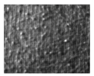 Fibers 06 00073 i027