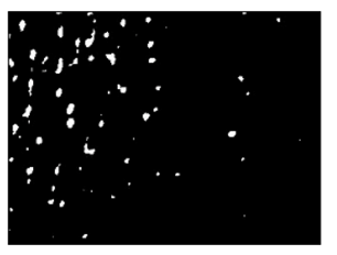 Fibers 06 00073 i029