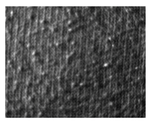 Fibers 06 00073 i039