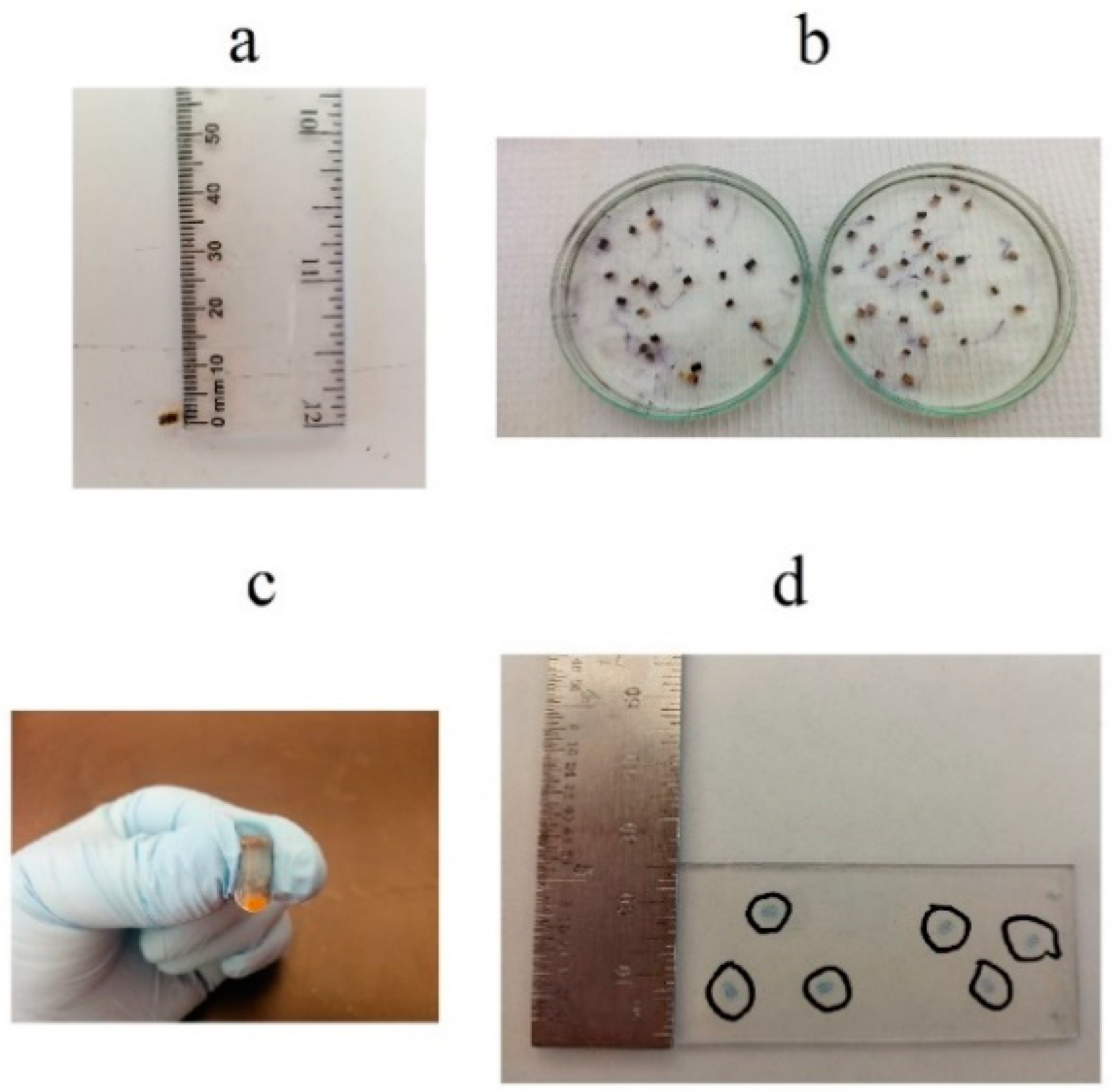 Fibers 06 00081 g004 Fibers 06 00081 g004