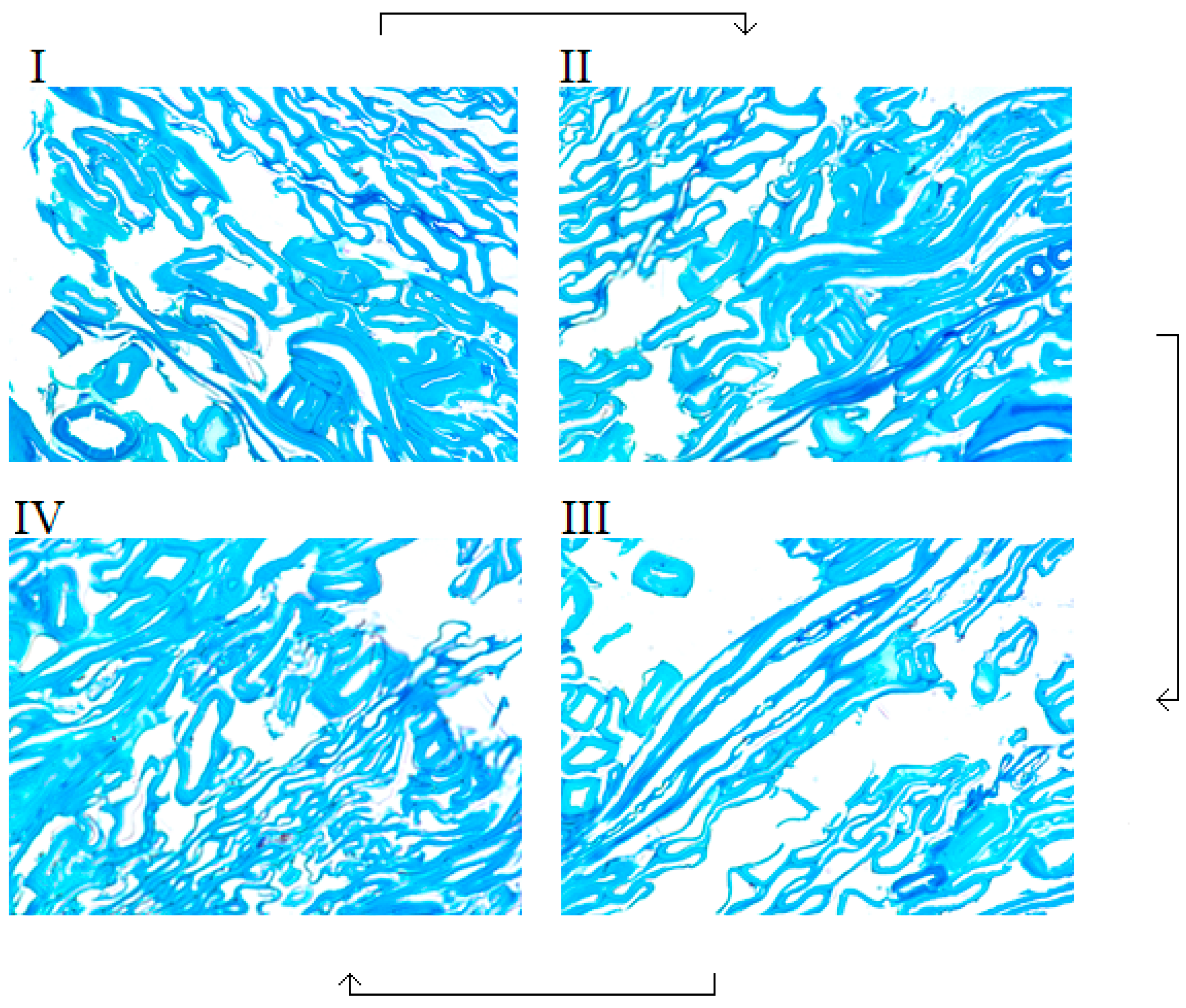 Fibers 06 00081 g006 Fibers 06 00081 g006