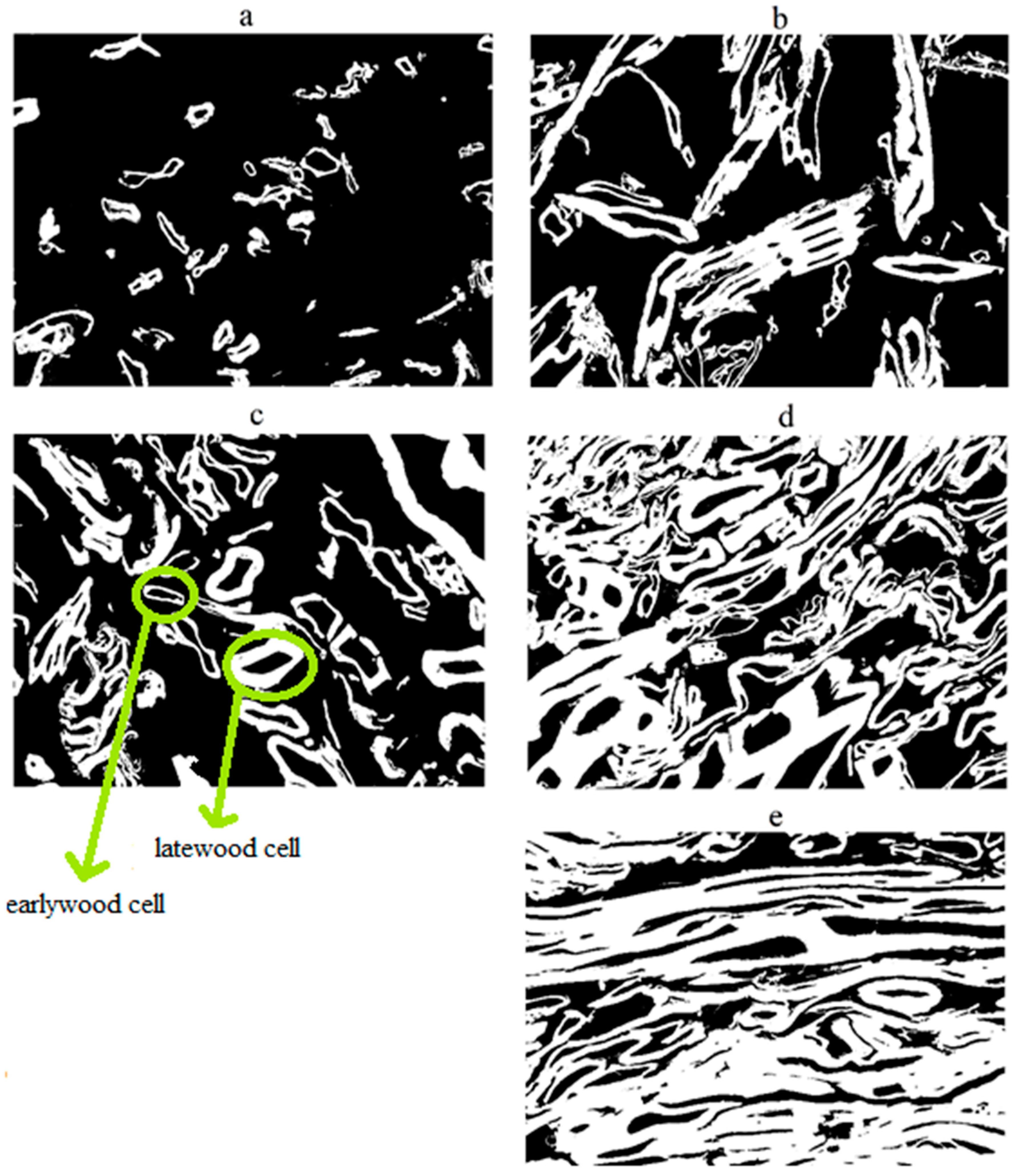 Fibers 06 00081 g008 Fibers 06 00081 g008