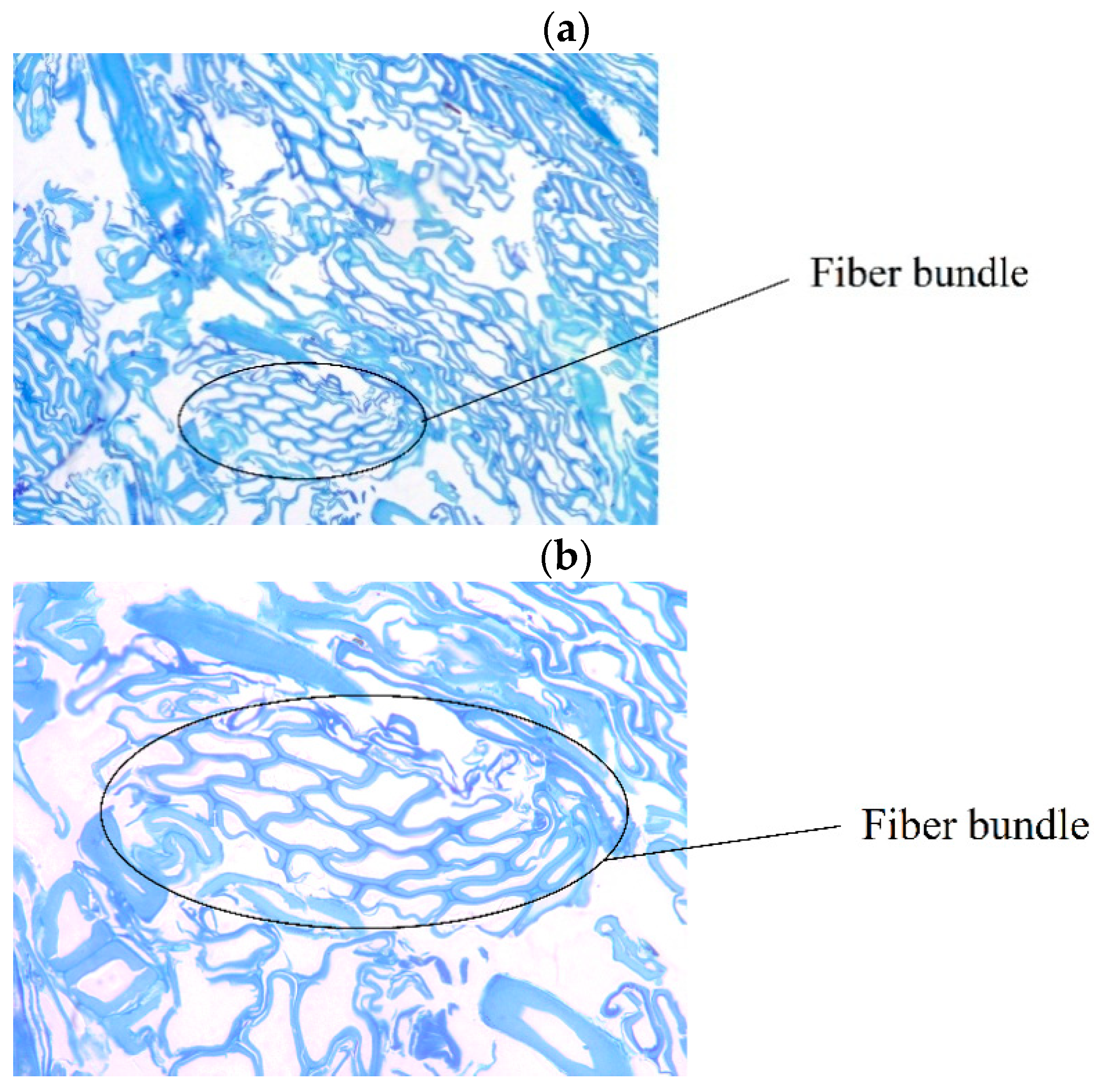 Fibers 06 00081 g009 Fibers 06 00081 g009