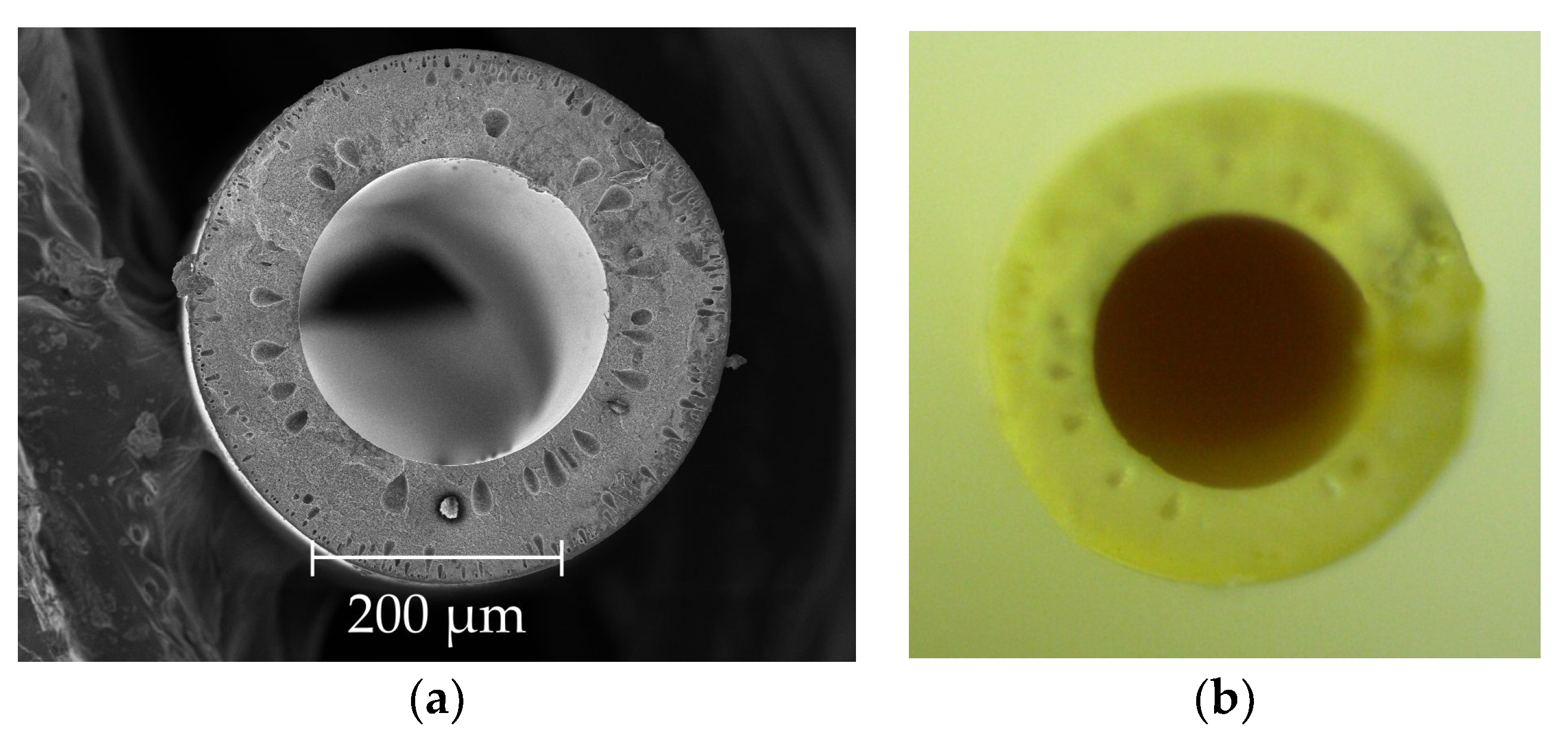 Fibers 06 00083 g003 Fibers 06 00083 g003