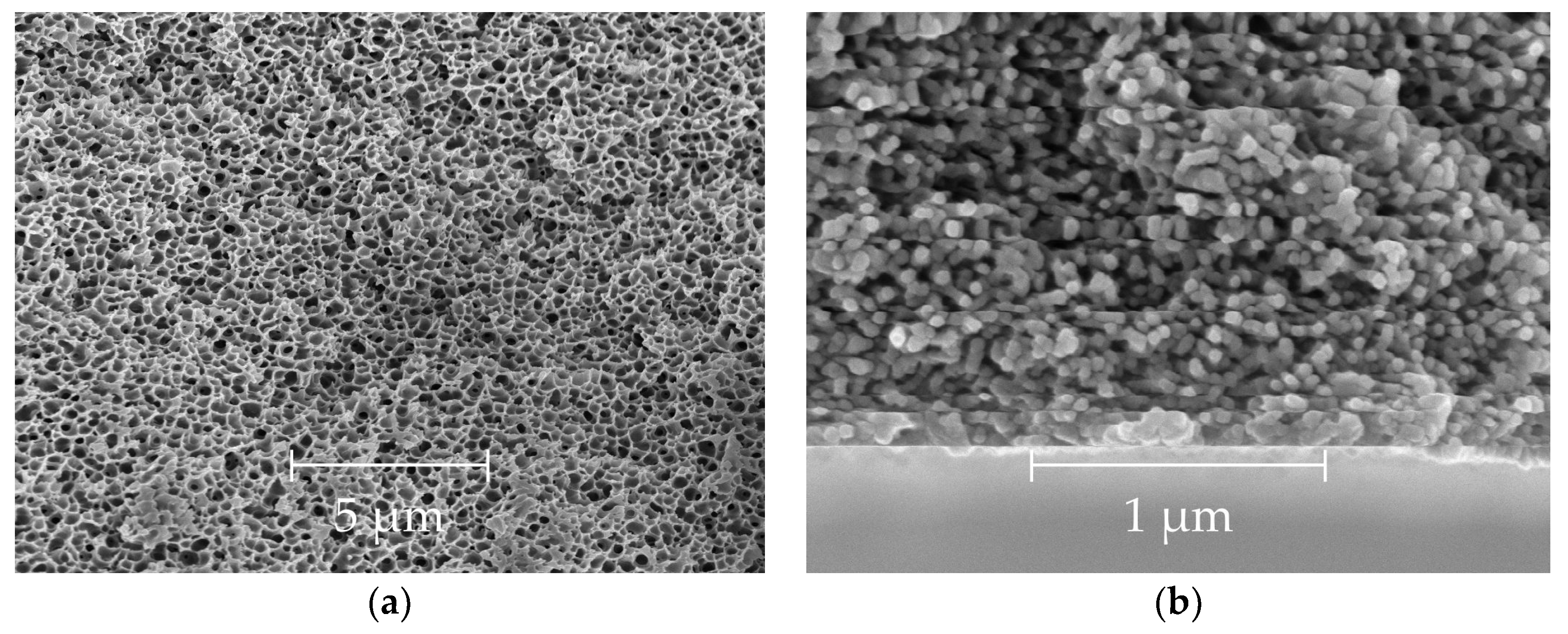 Fibers 06 00083 g005 Fibers 06 00083 g005