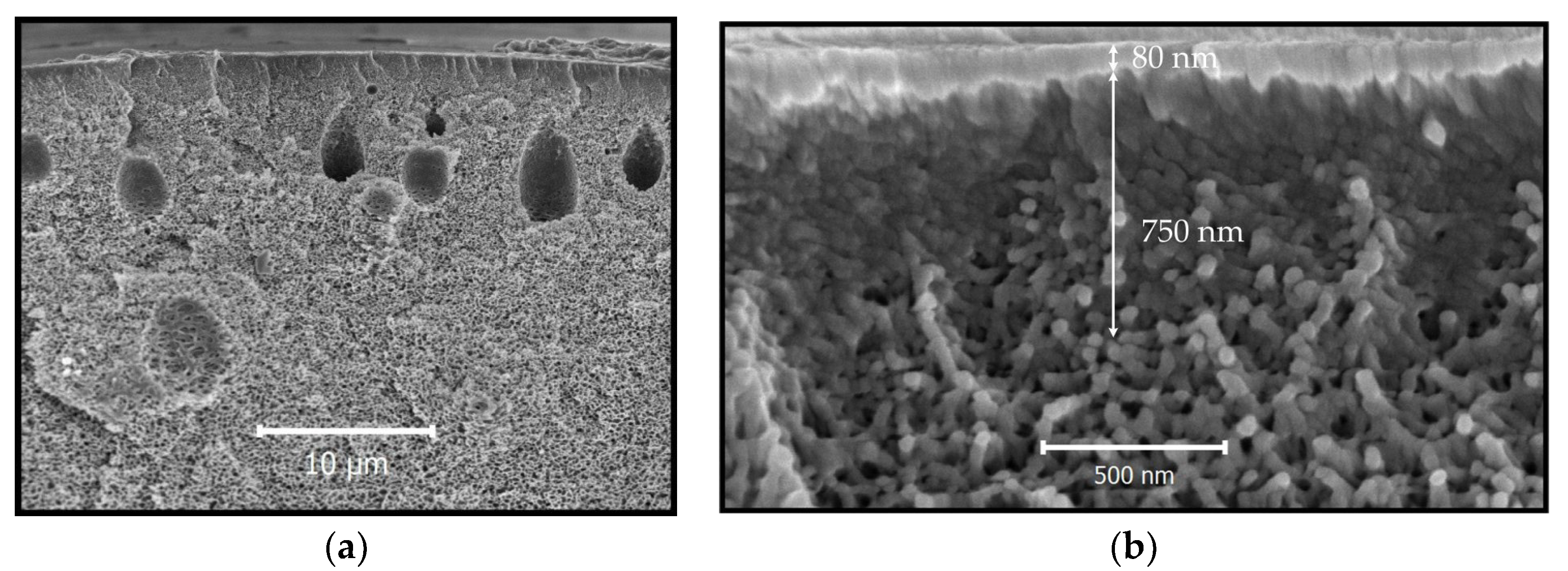 Fibers 06 00083 g007 Fibers 06 00083 g007