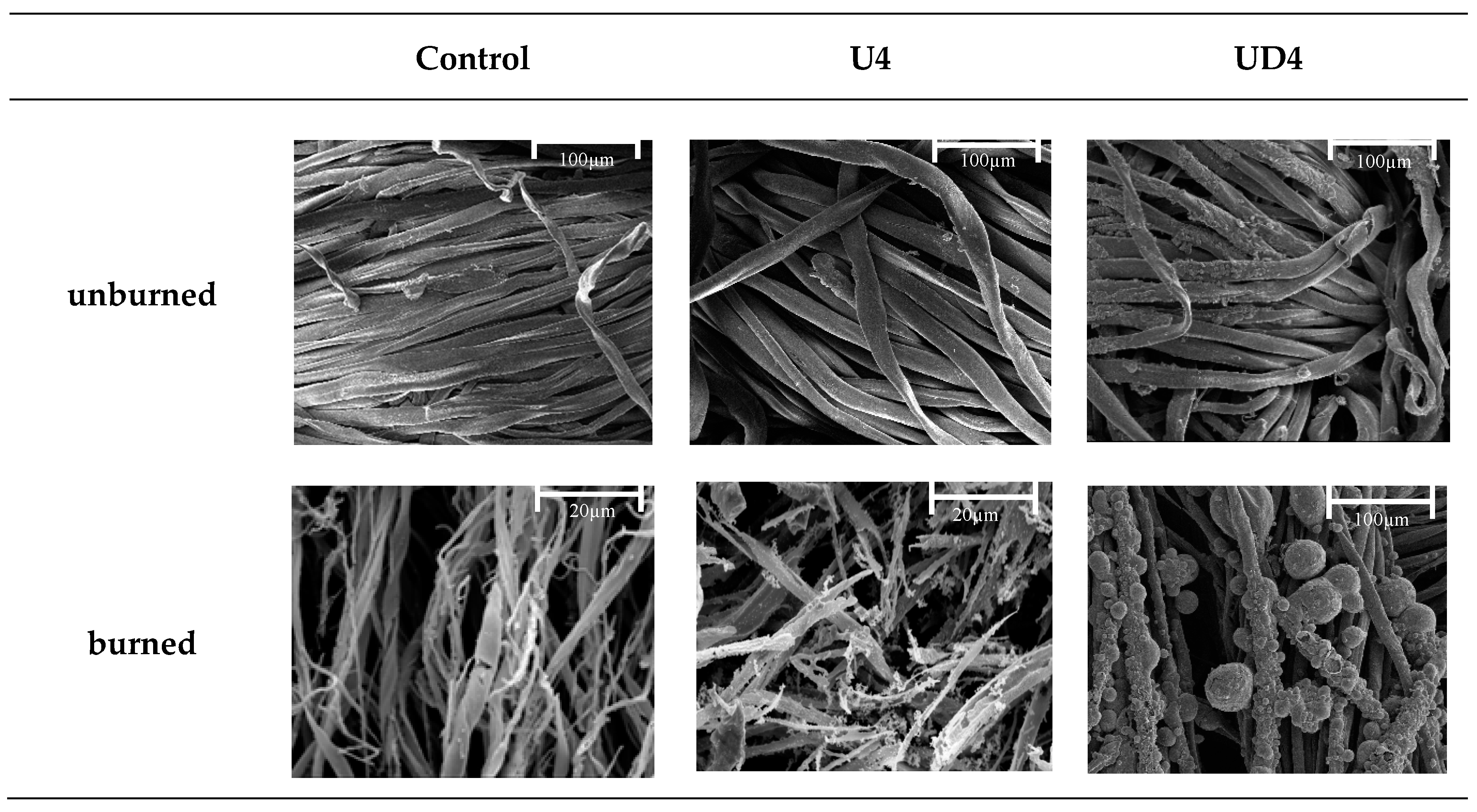 Fibers 06 00085 g005 Fibers 06 00085 g005