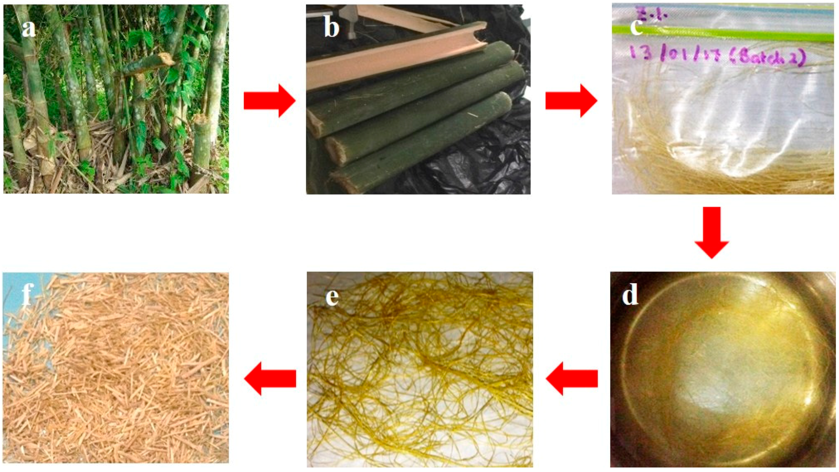 Fibers | Free Full-Text | Preparation and Behavior of Bamboo Fiber-Reinforced  Polydimethylsiloxane Composite Foams during Compression
