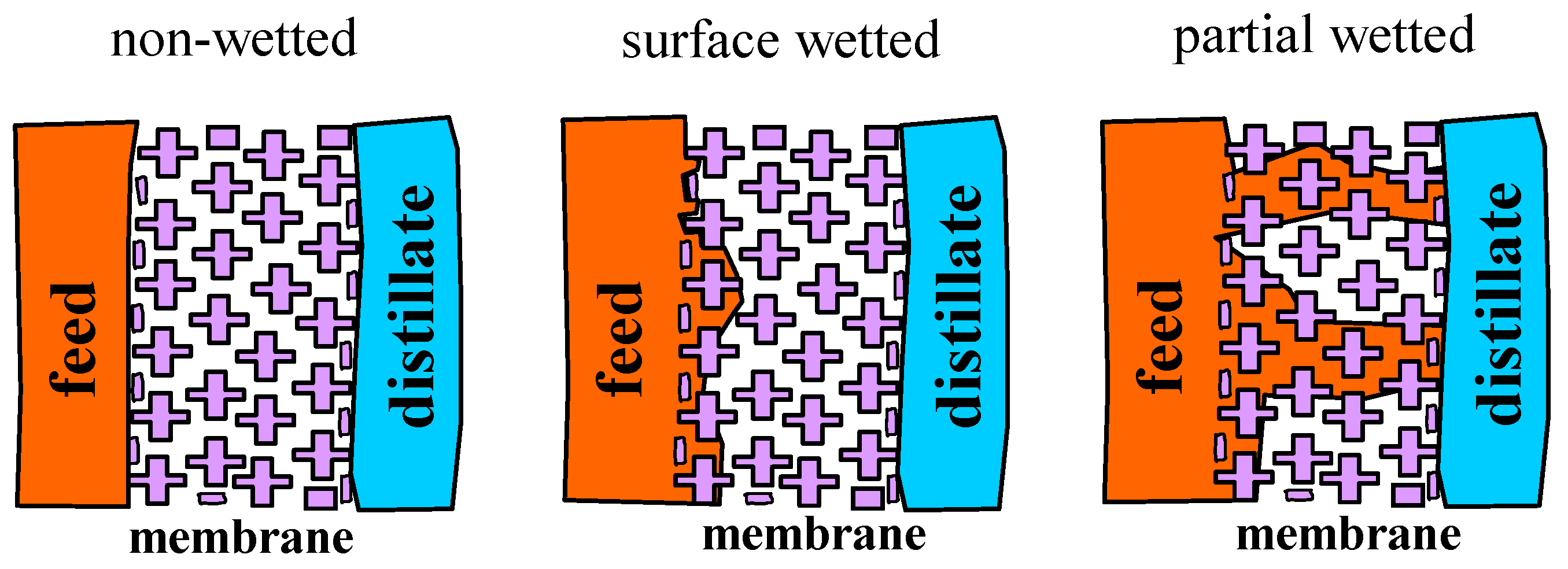 Fibers 07 00001 g001