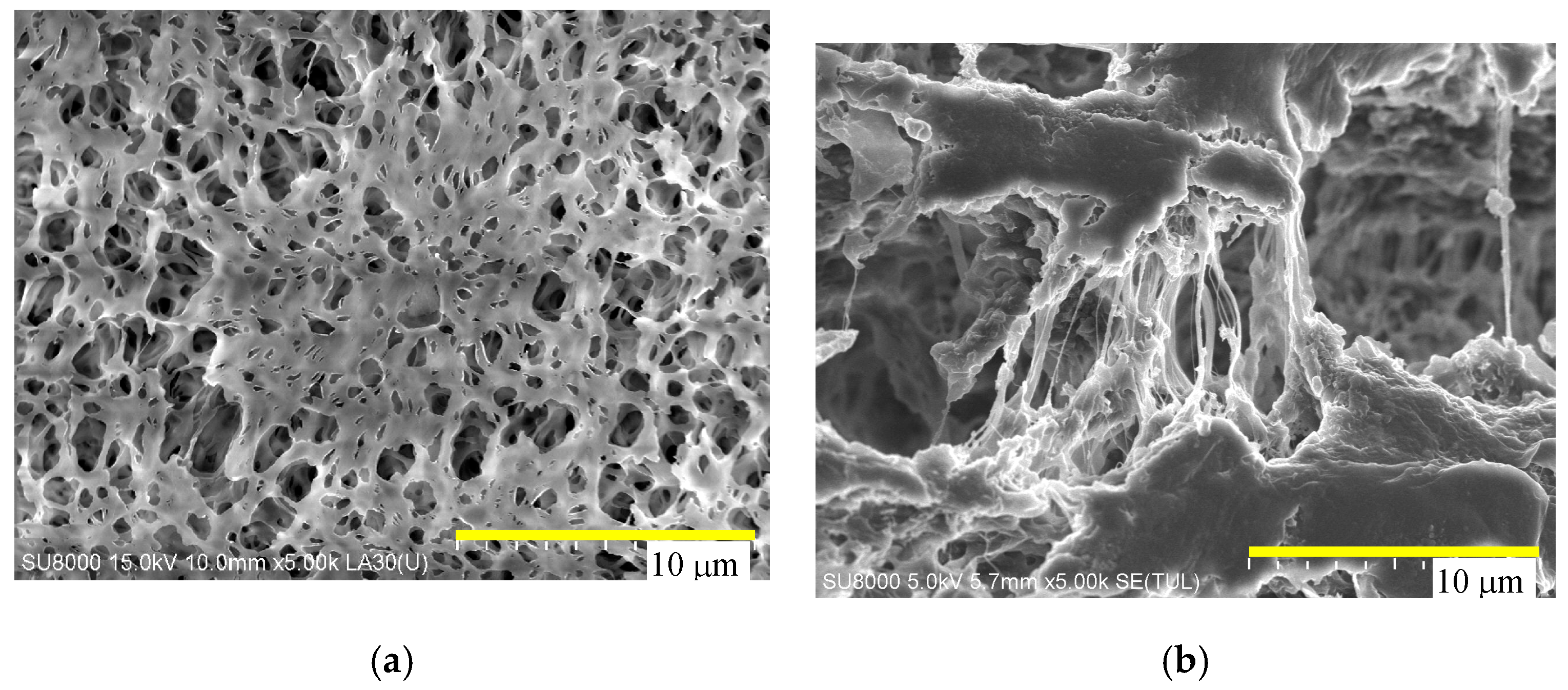 Fibers 07 00001 g006