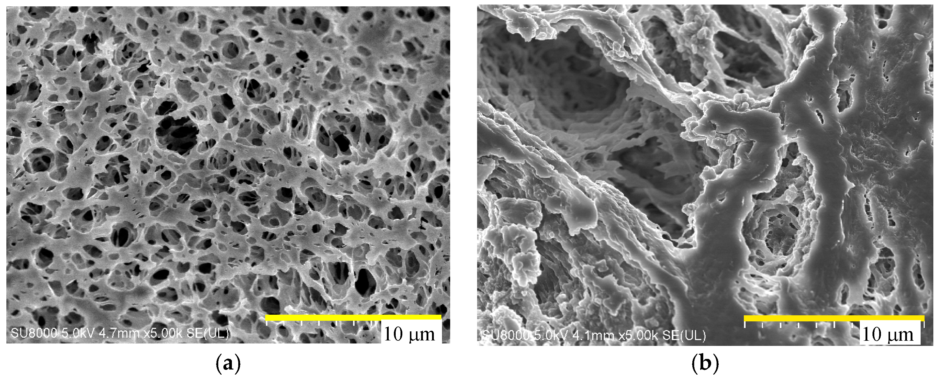 Fibers 07 00001 g007