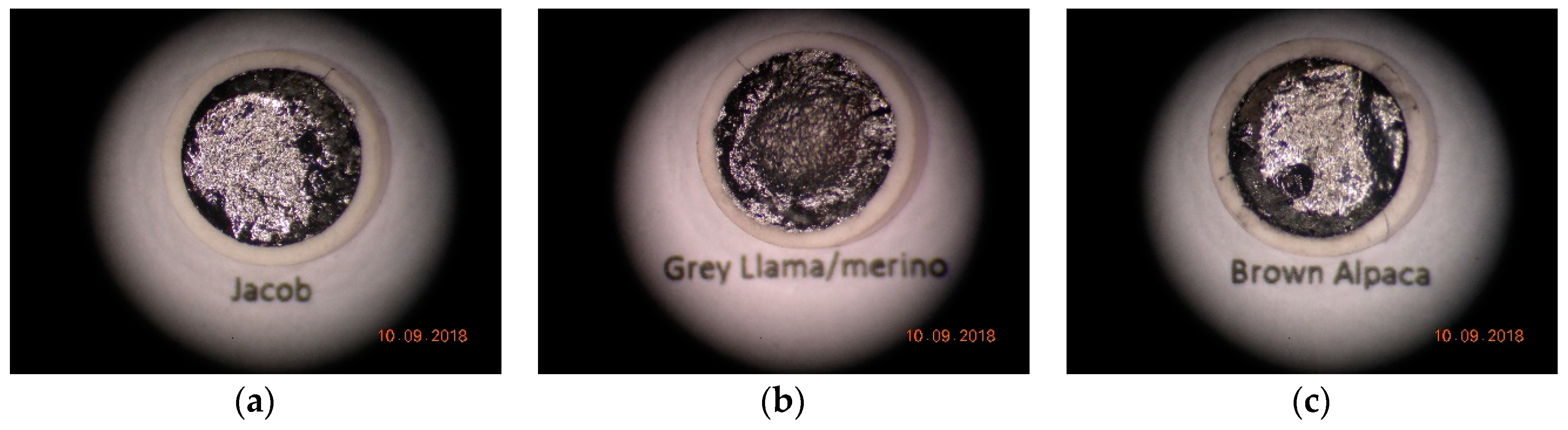 Fibers 07 00003 g007 550