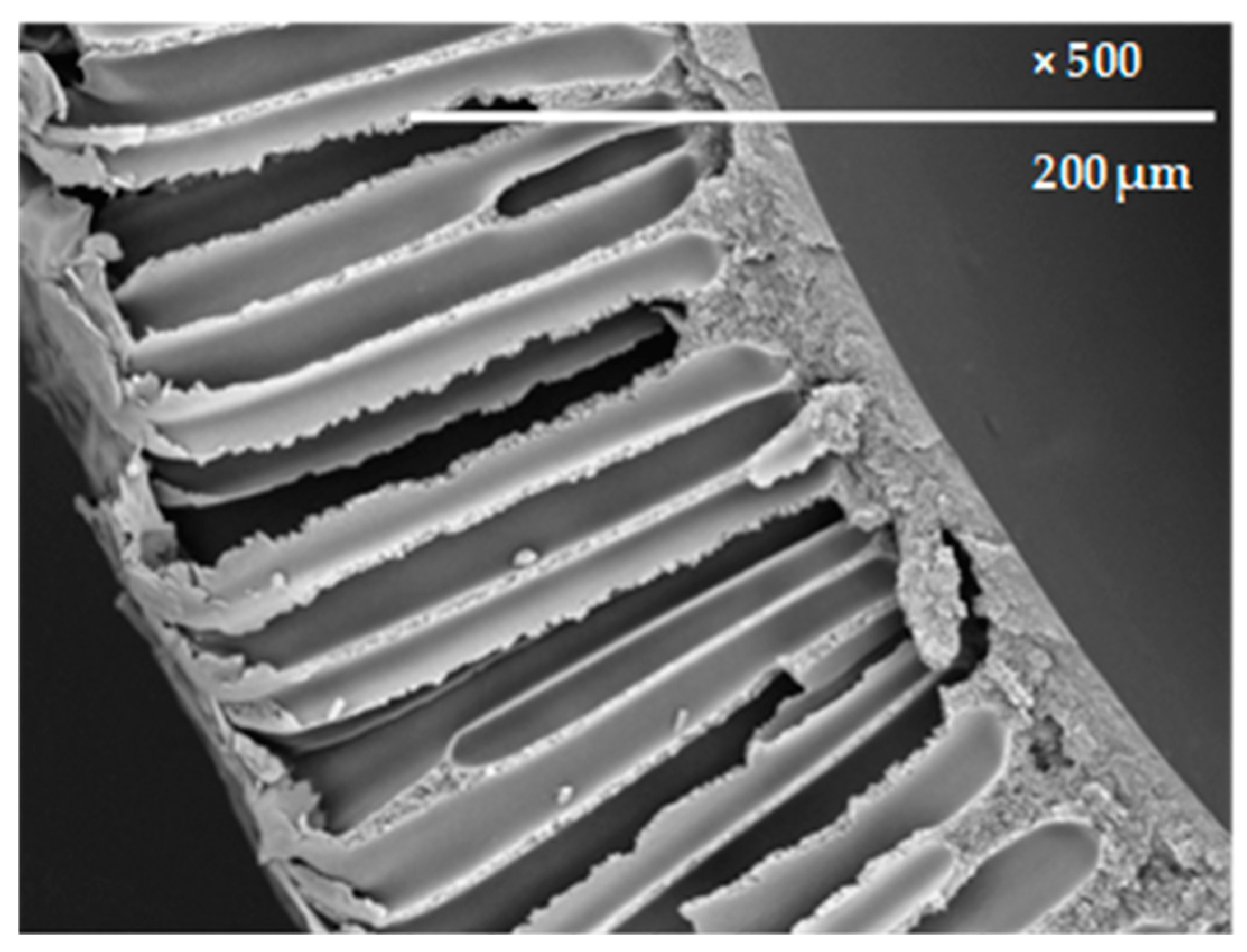 Fibers 07 00004 g004