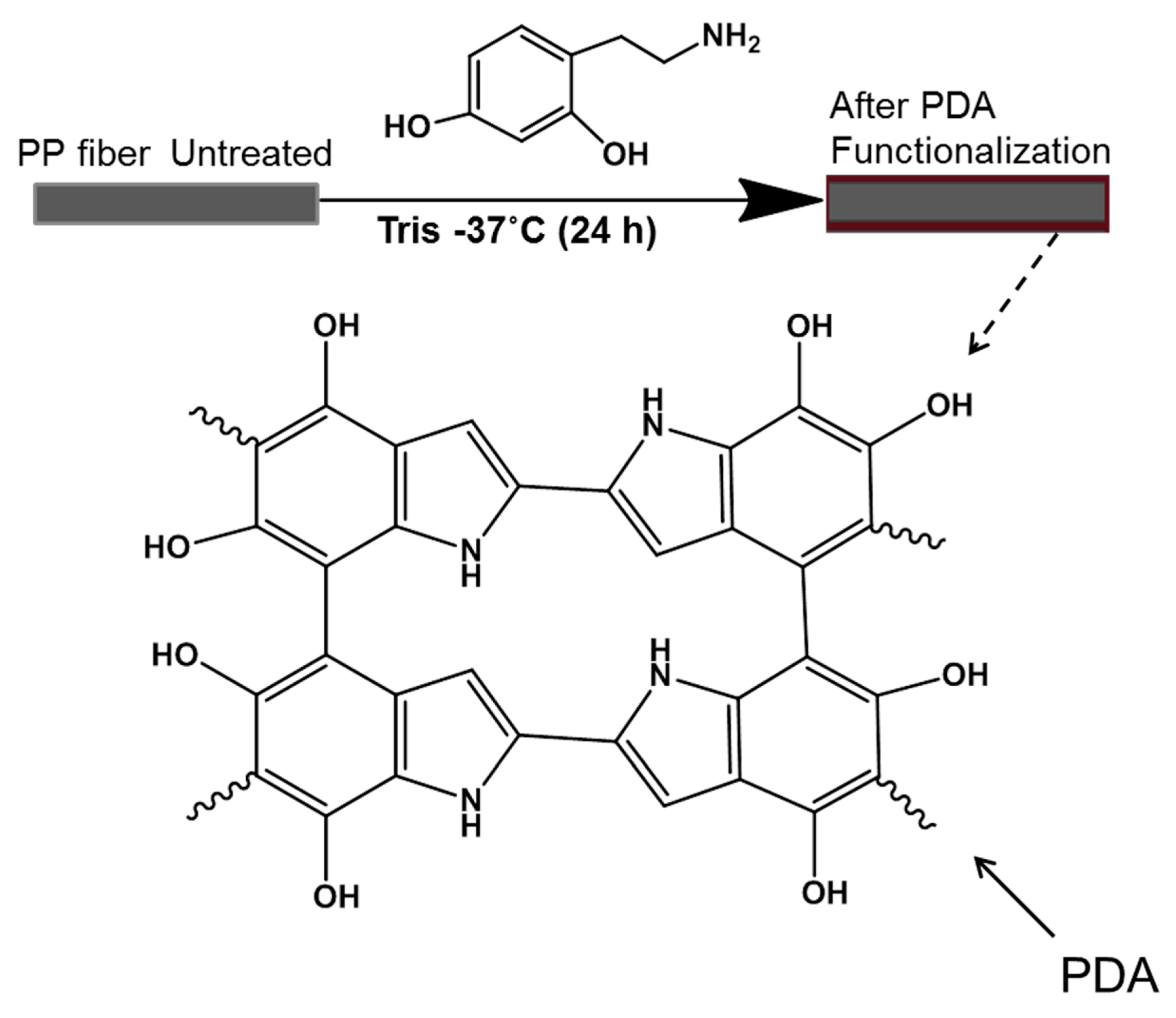 Fibers 07 00006 g001 Fibers 07 00006 g001