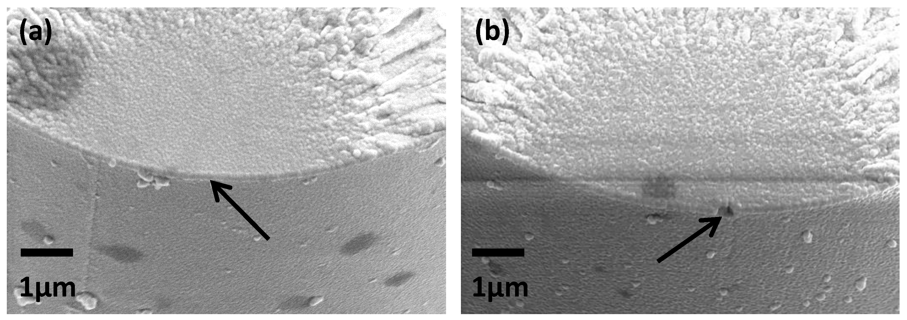 Fibers 07 00007 g013 Fibers 07 00007 g013