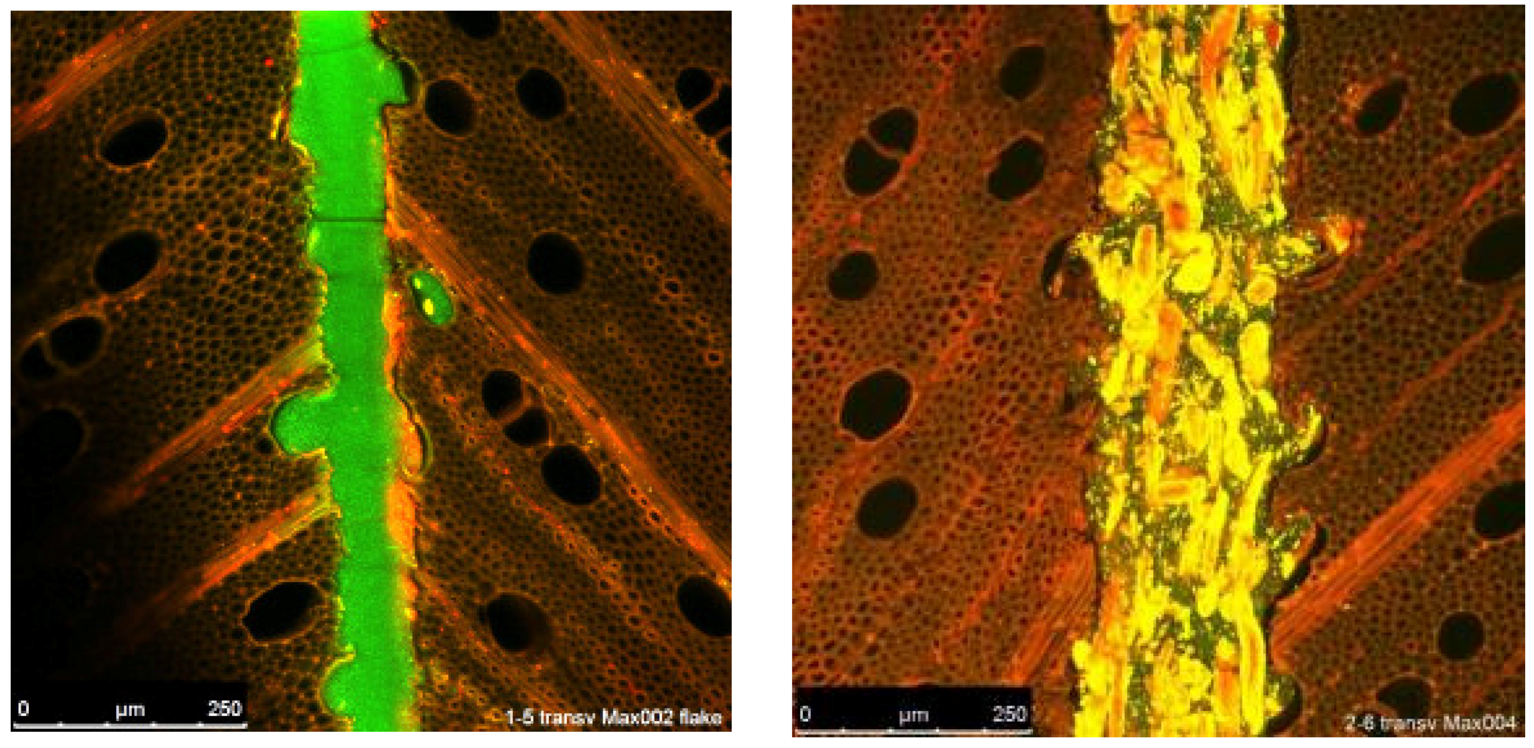 Fibers 07 00015 g001 550