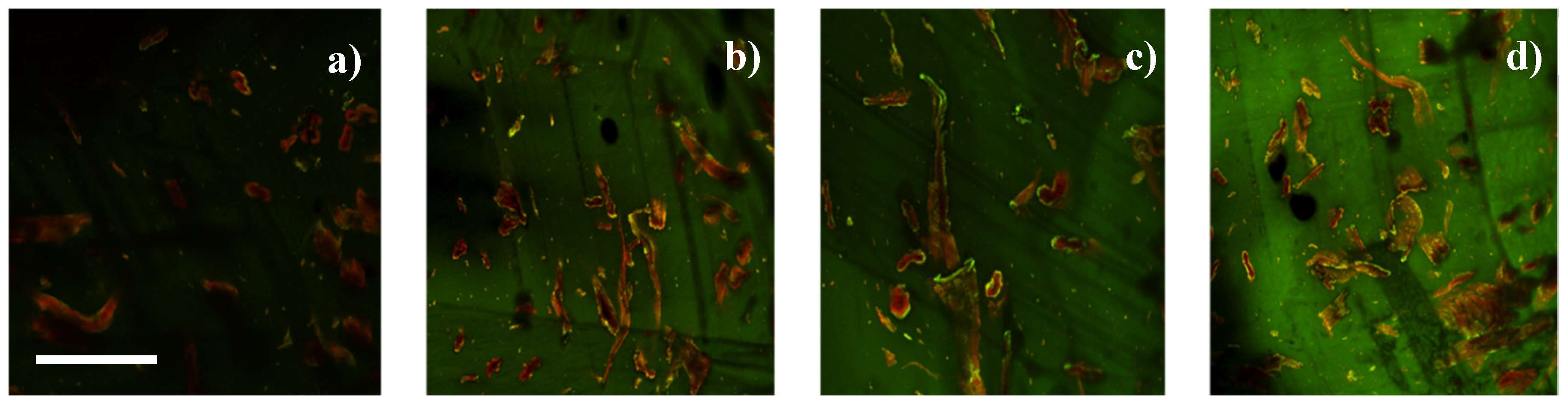 Fibers 07 00015 g002 550