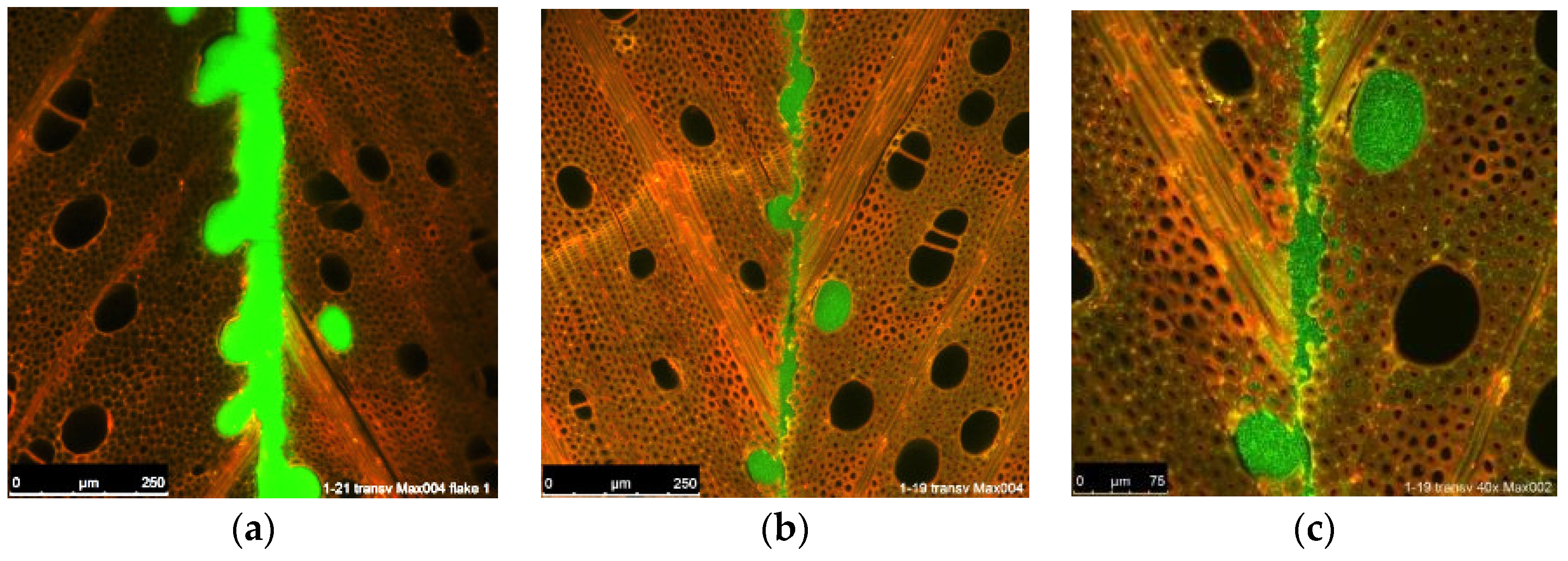 Fibers 07 00015 g004 550