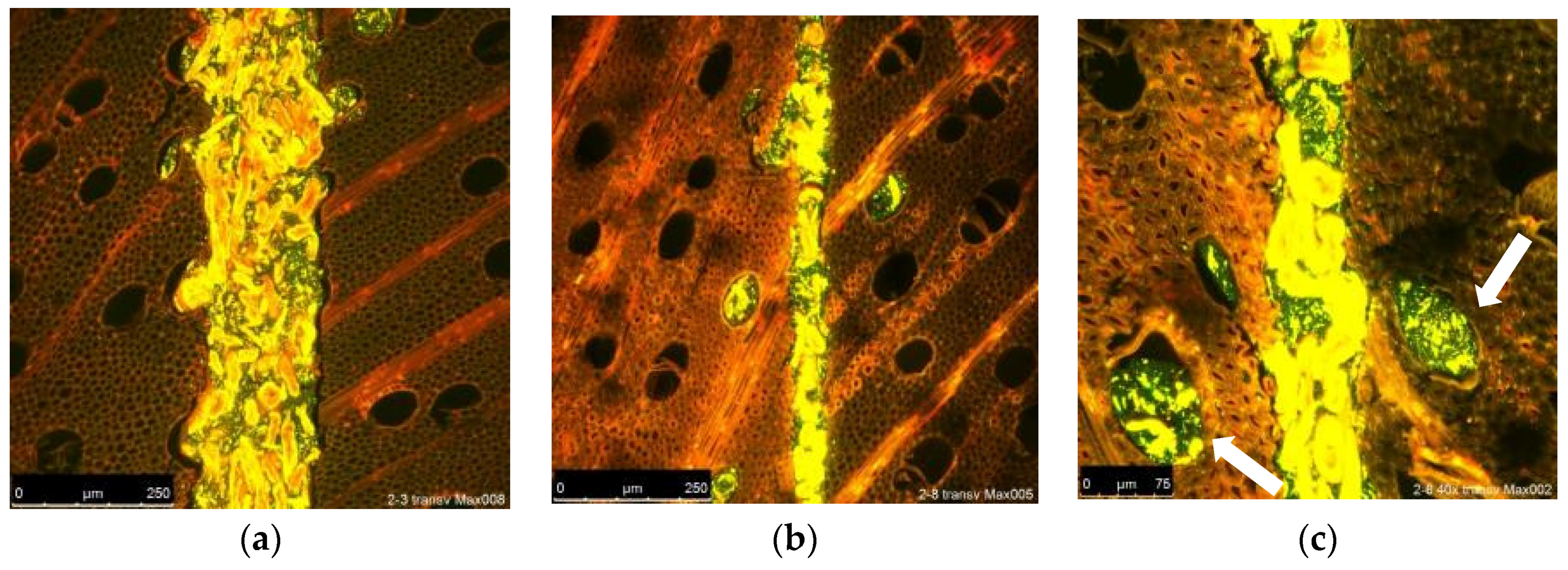 Fibers 07 00015 g006 550