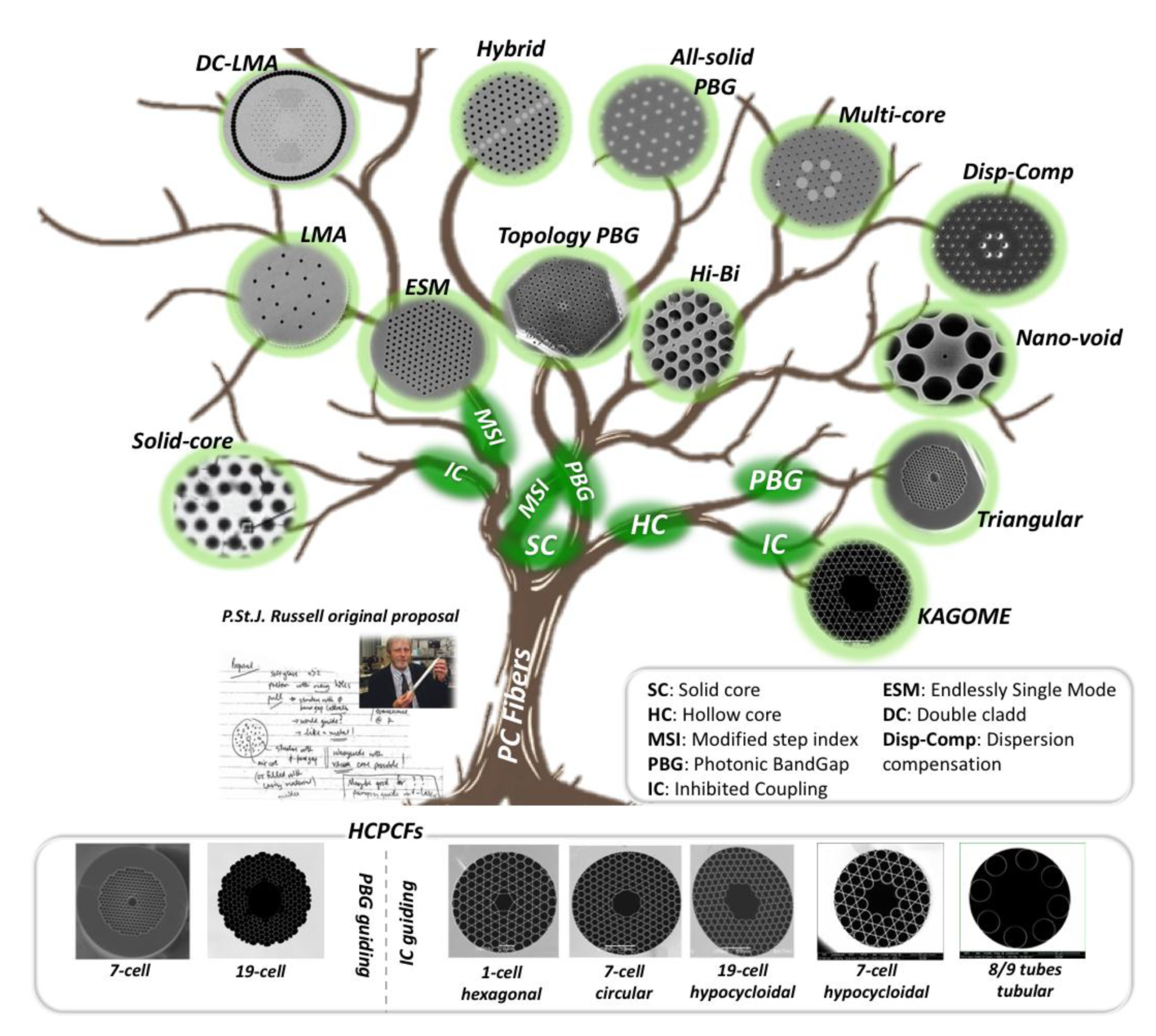 Fibers 07 00016 g002