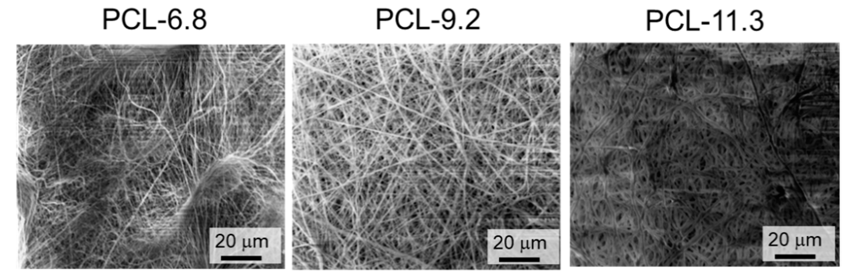 Fibers 07 00020 g001