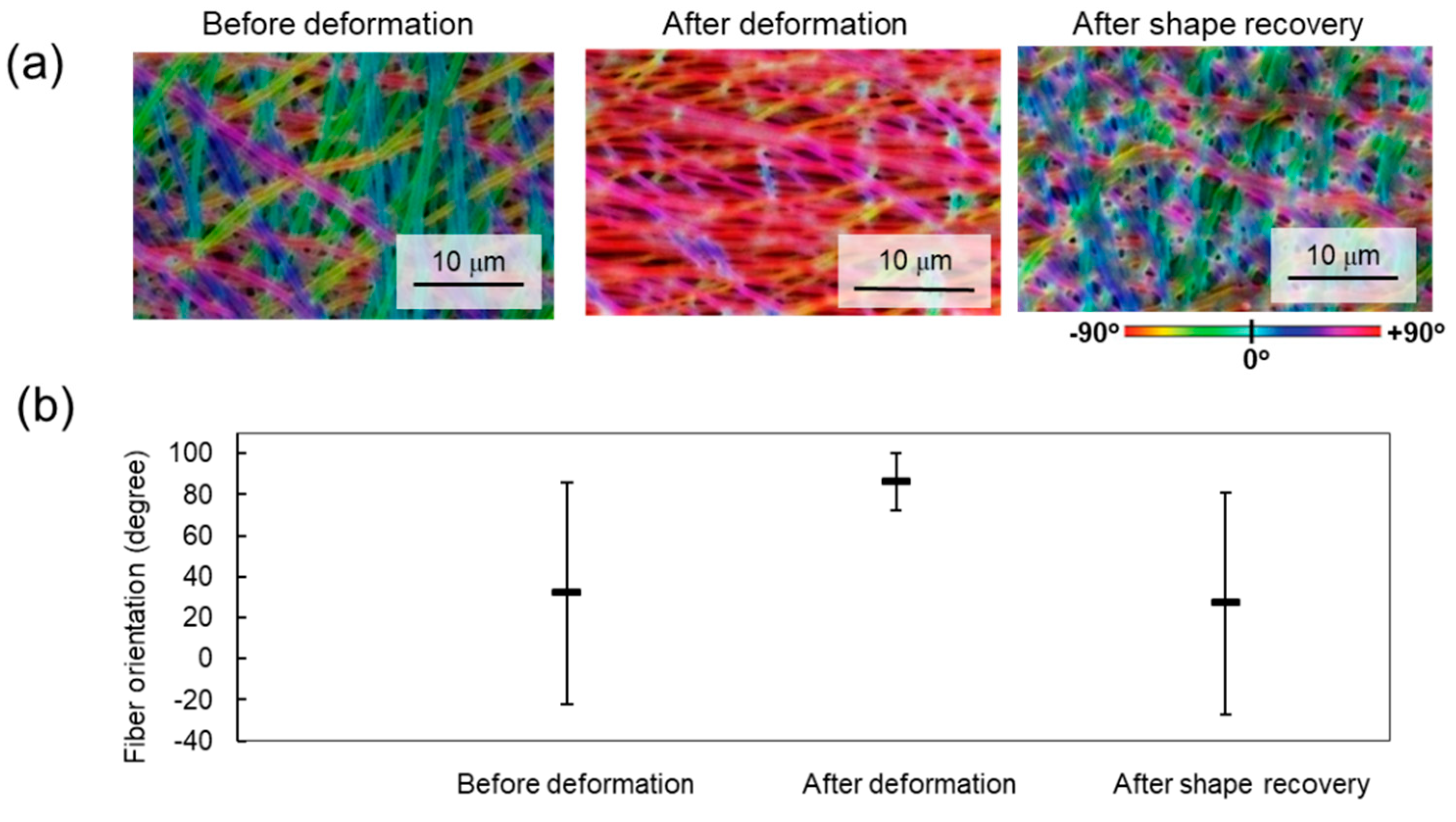 Fibers Free FullText ShapeMemory Nanofiber Meshes with