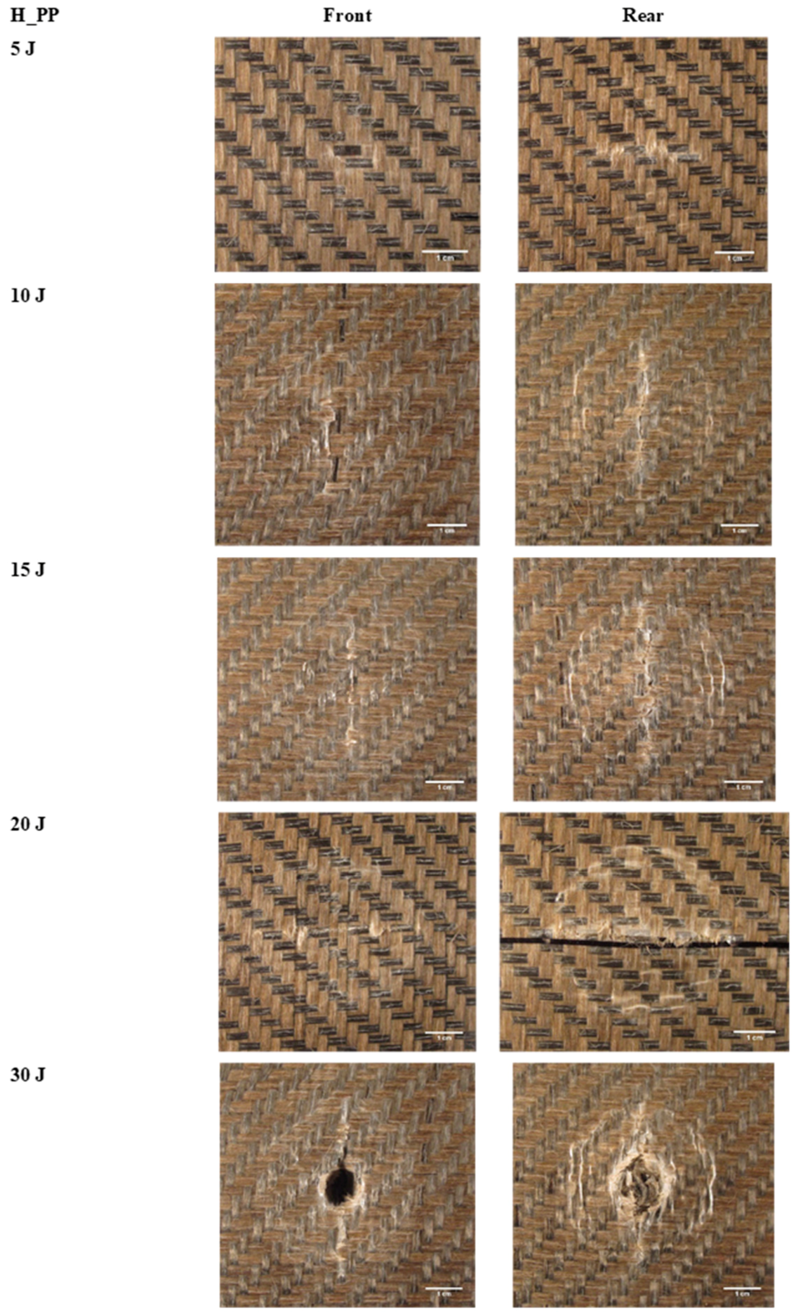 Fibers 07 00026 g012
