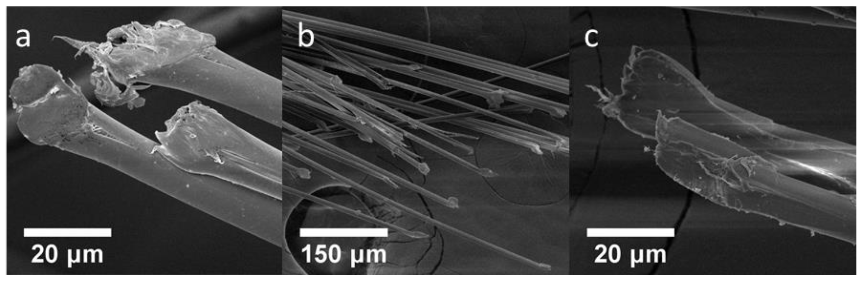 Fibers 07 00029 g010