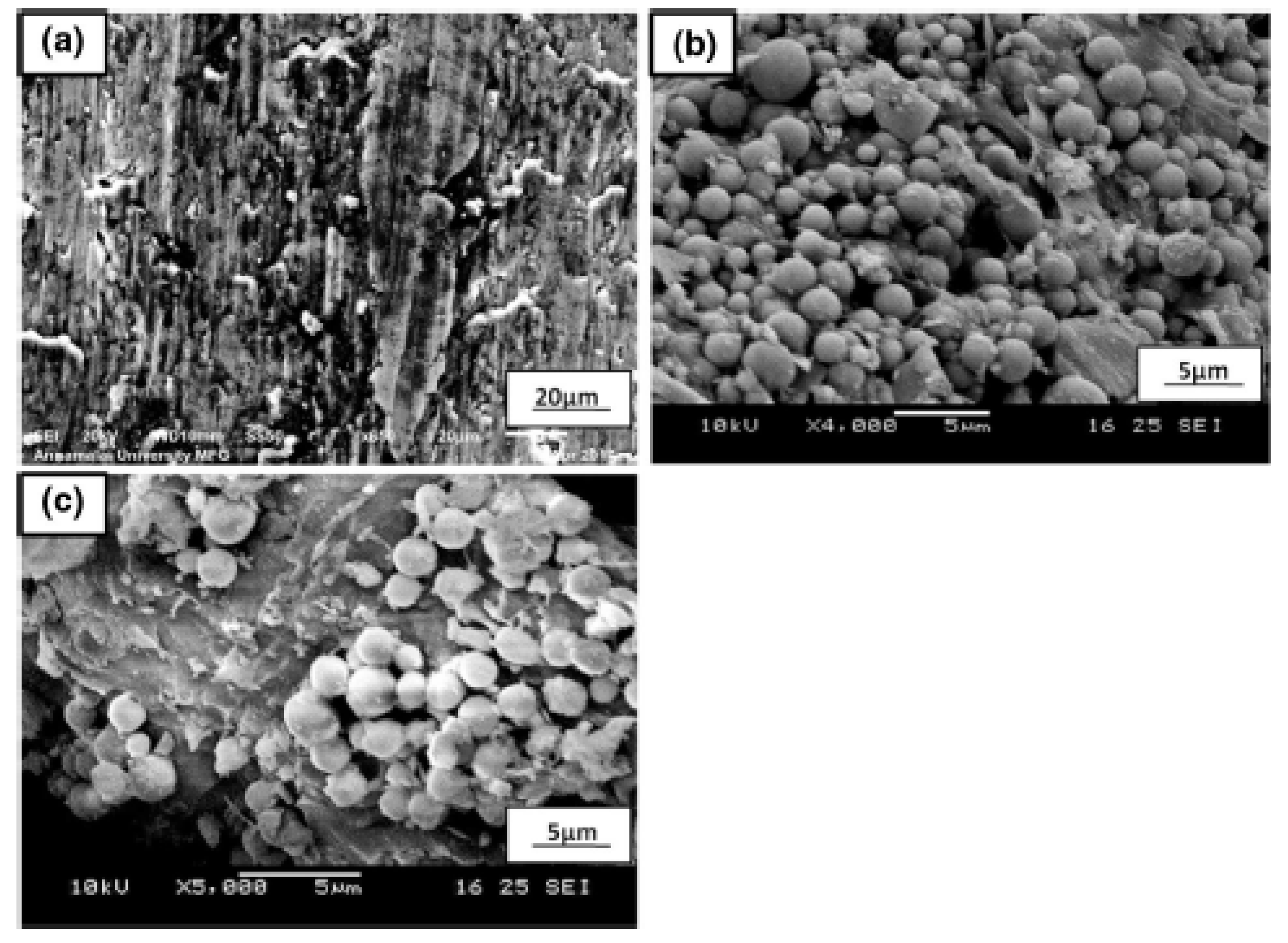 Fibers 07 00033 g001