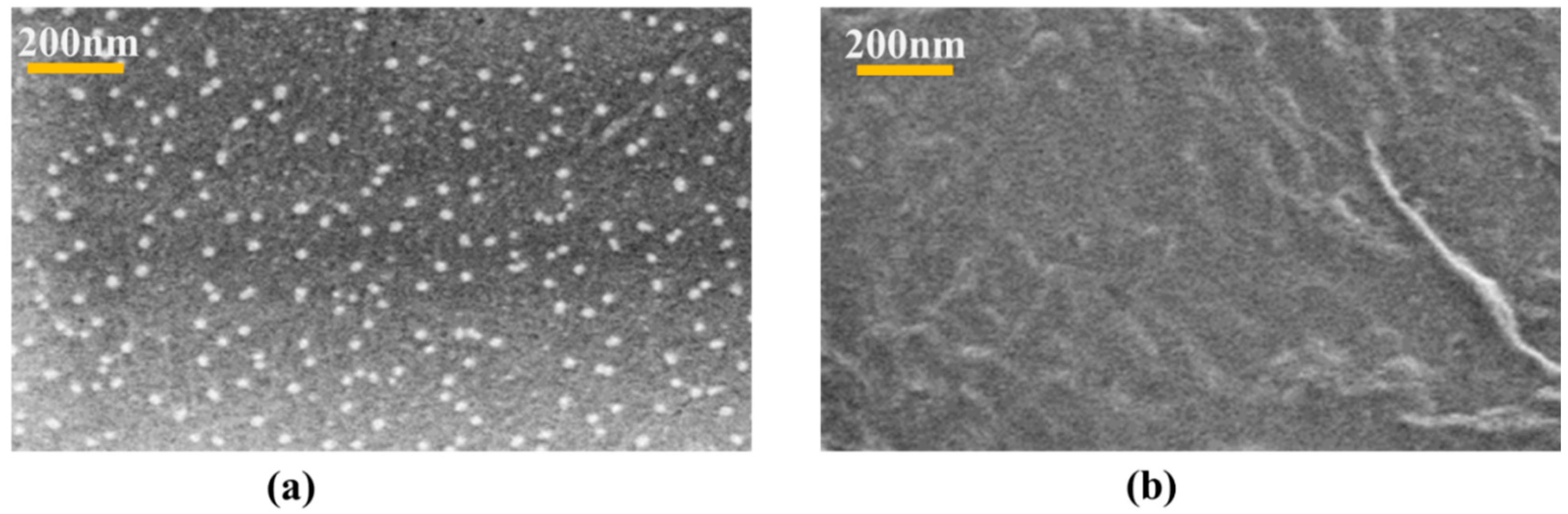 Fibers 07 00057 g002 Fibers 07 00057 g002