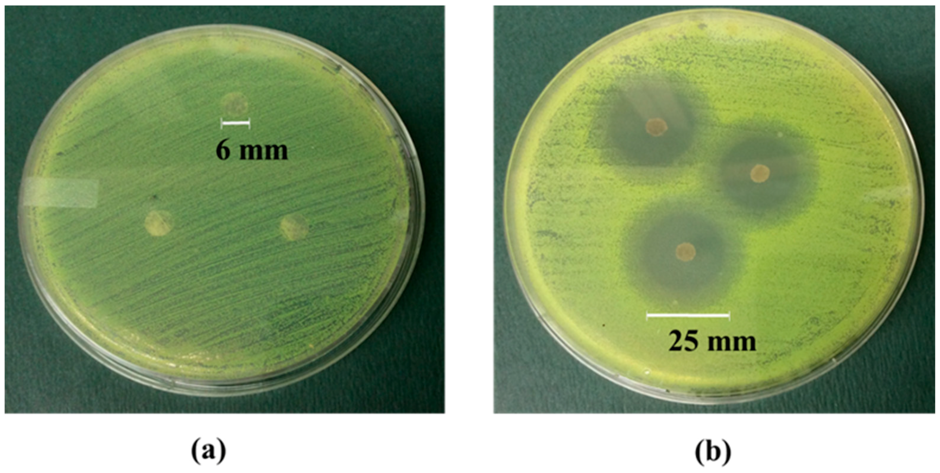 Fibers 07 00057 g006 Fibers 07 00057 g006