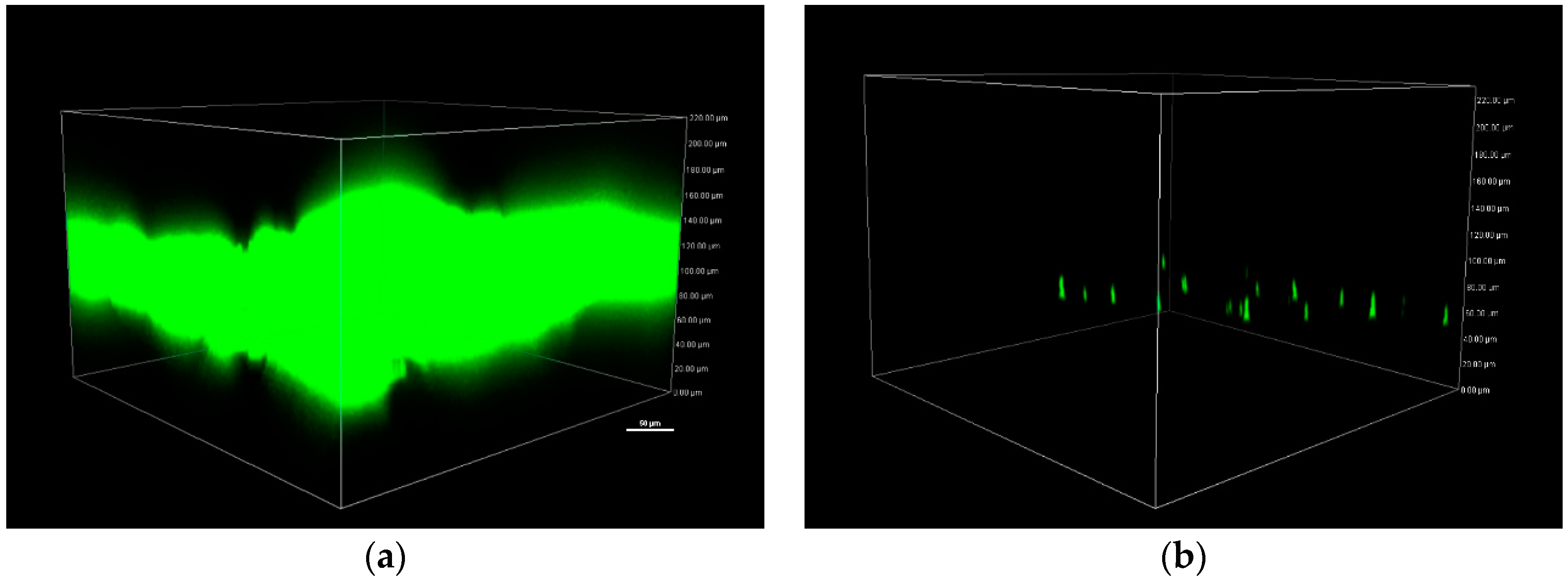 Fibers 07 00057 g008 Fibers 07 00057 g008