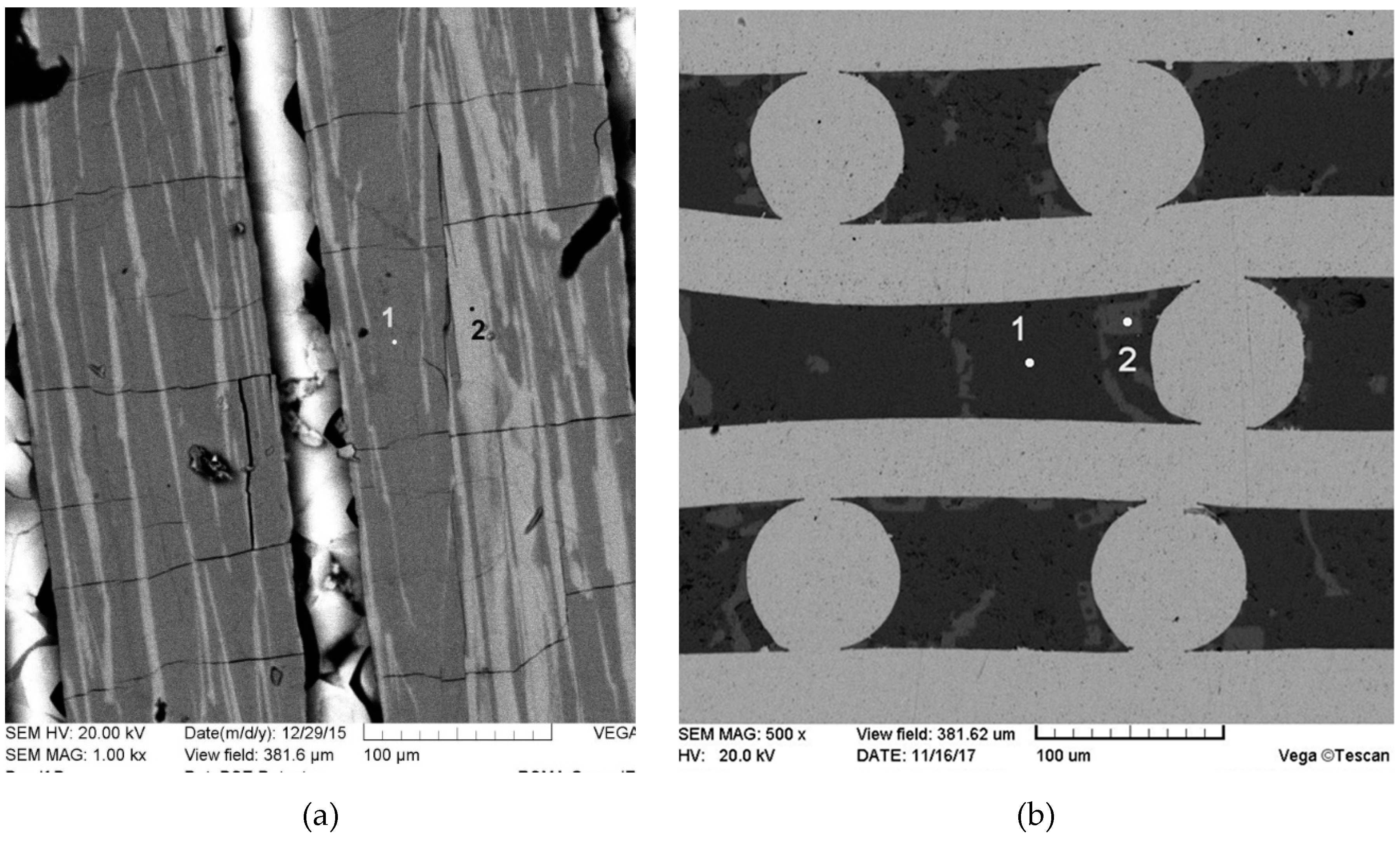 Fibers 07 00071 g004 550