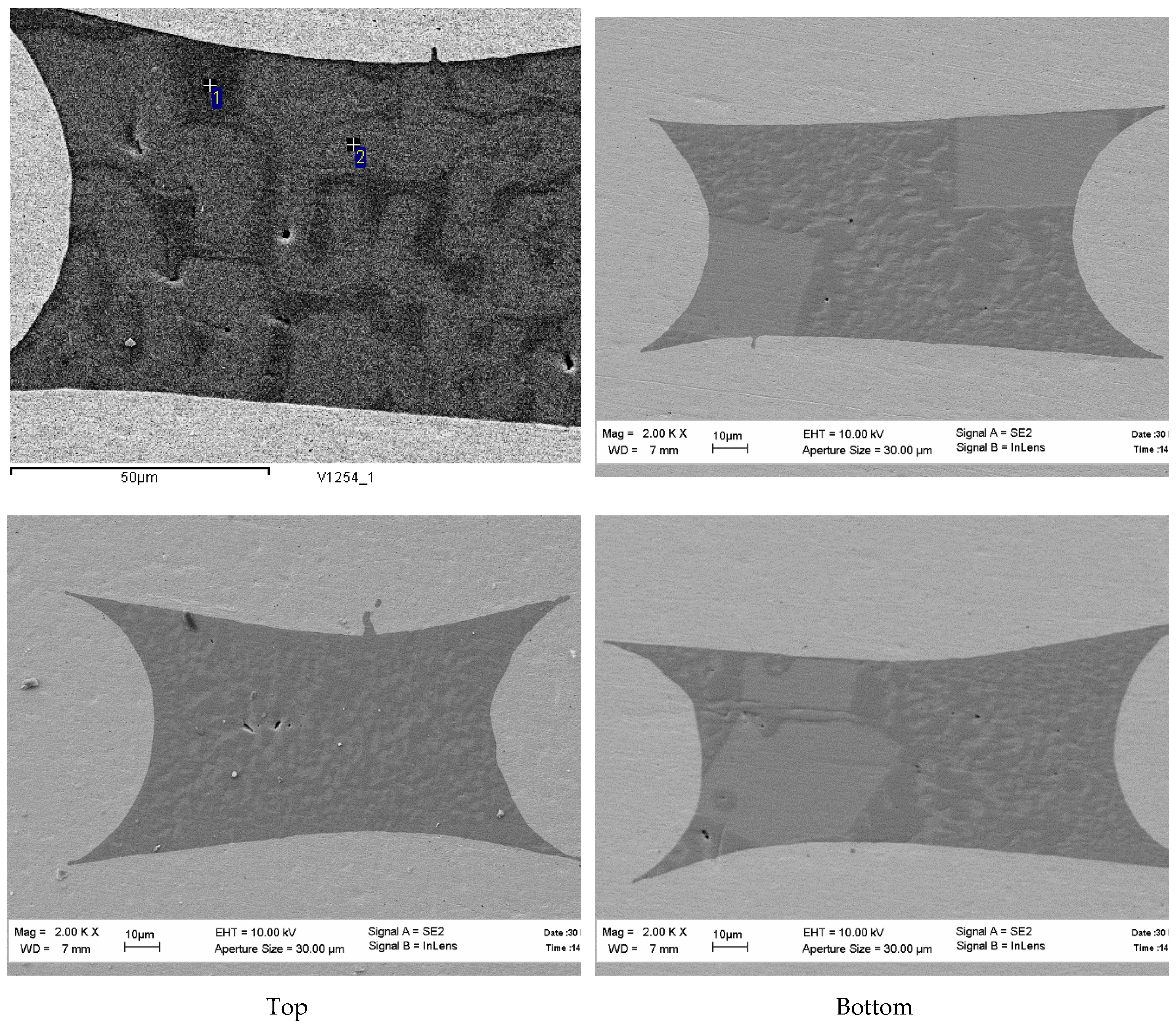 Fibers 07 00071 g007b 550