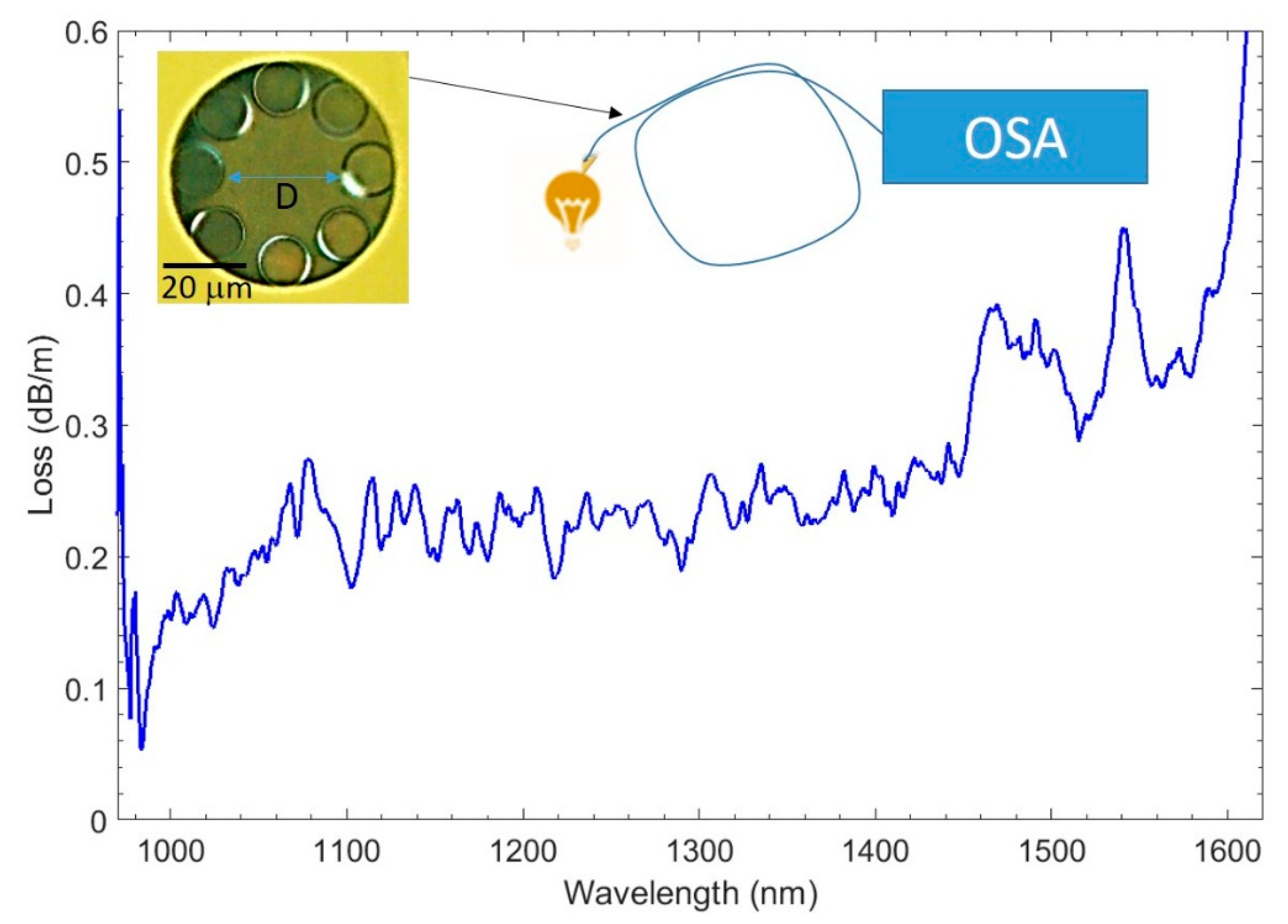 Fibers 07 00073 g002