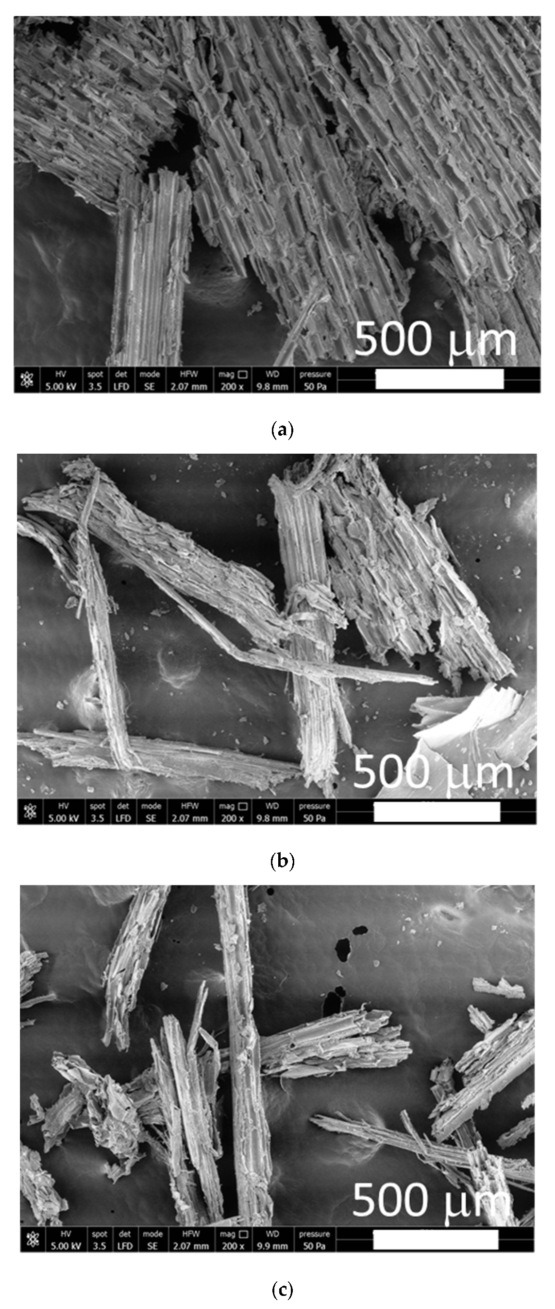 Fibers 07 00075 g002
