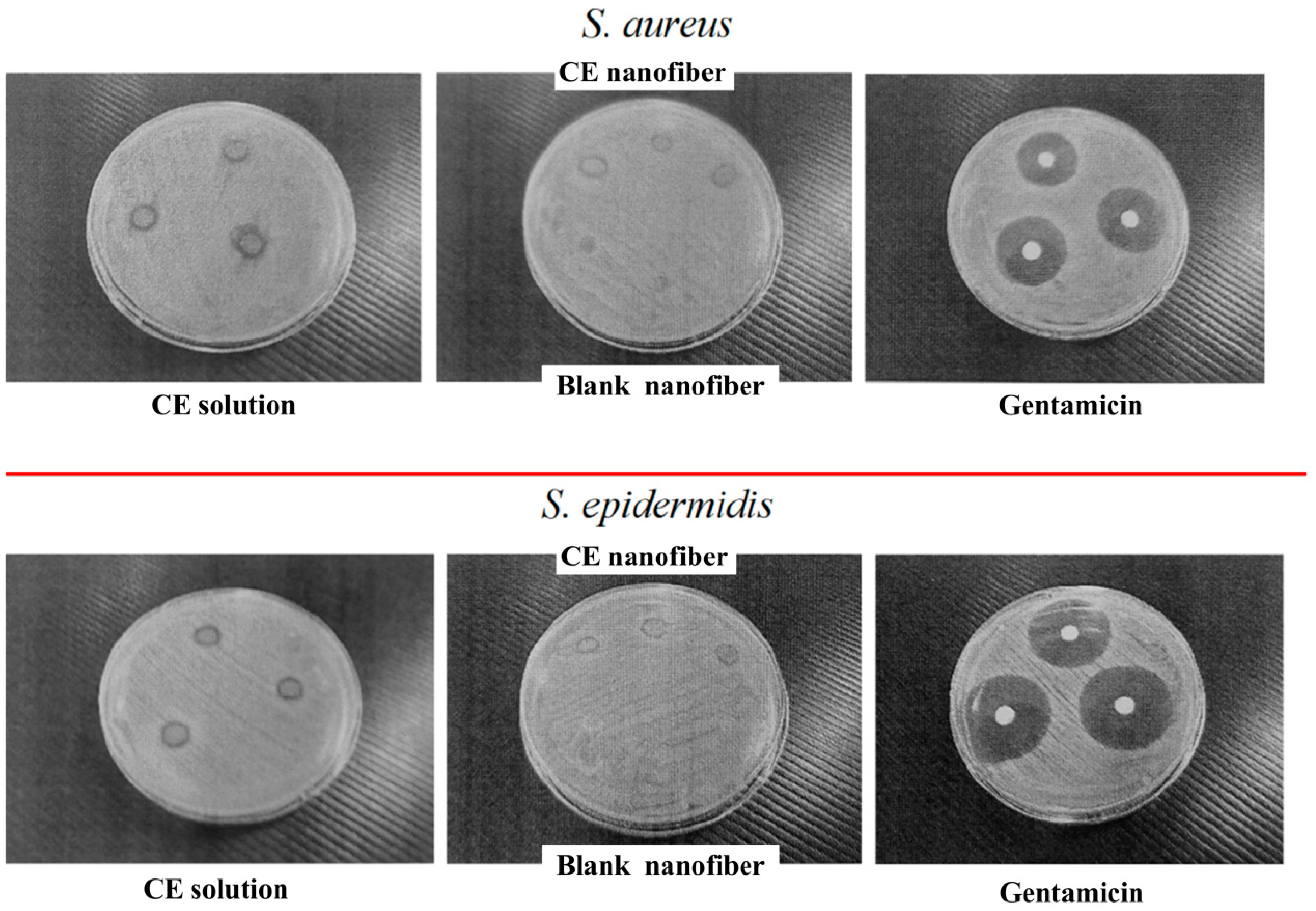 Fibers 07 00076 g006 550