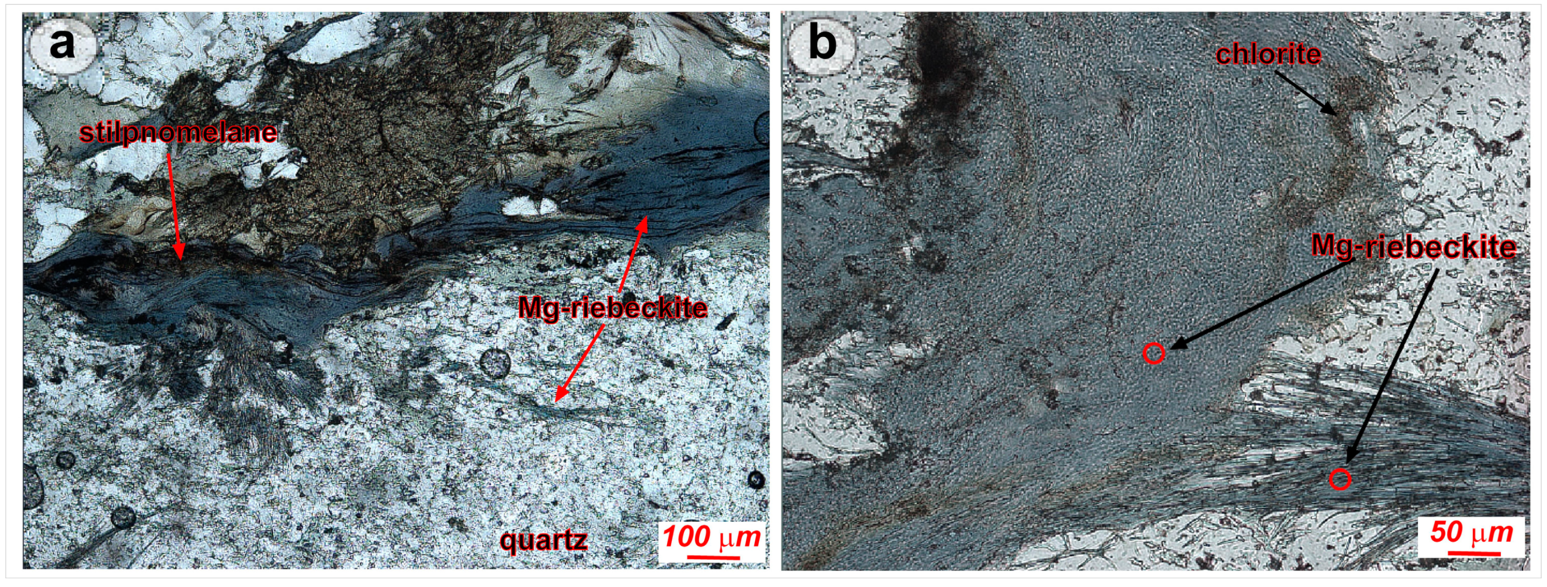 Fibers 07 00079 g002