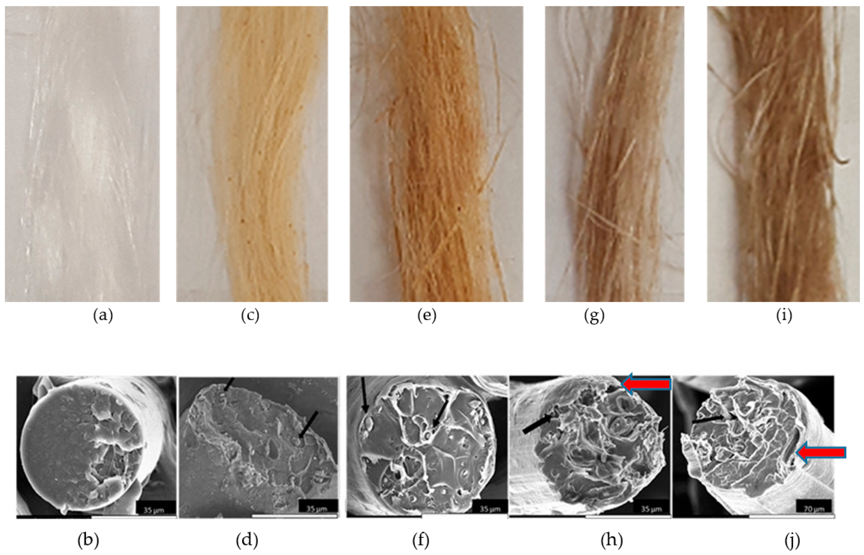 Fibers 07 00083 g004