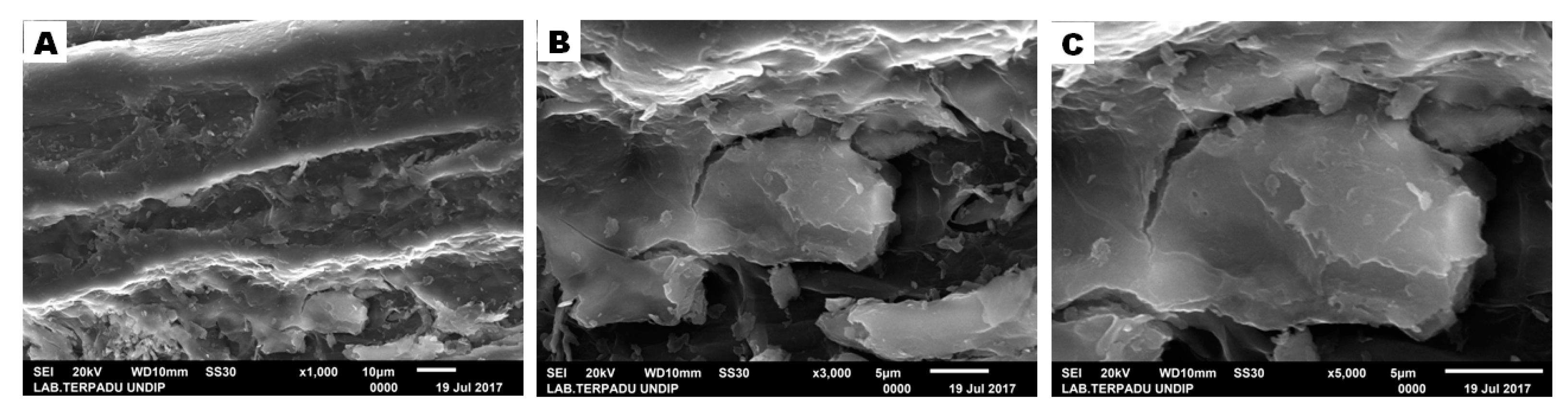 Fibers 07 00085 g009