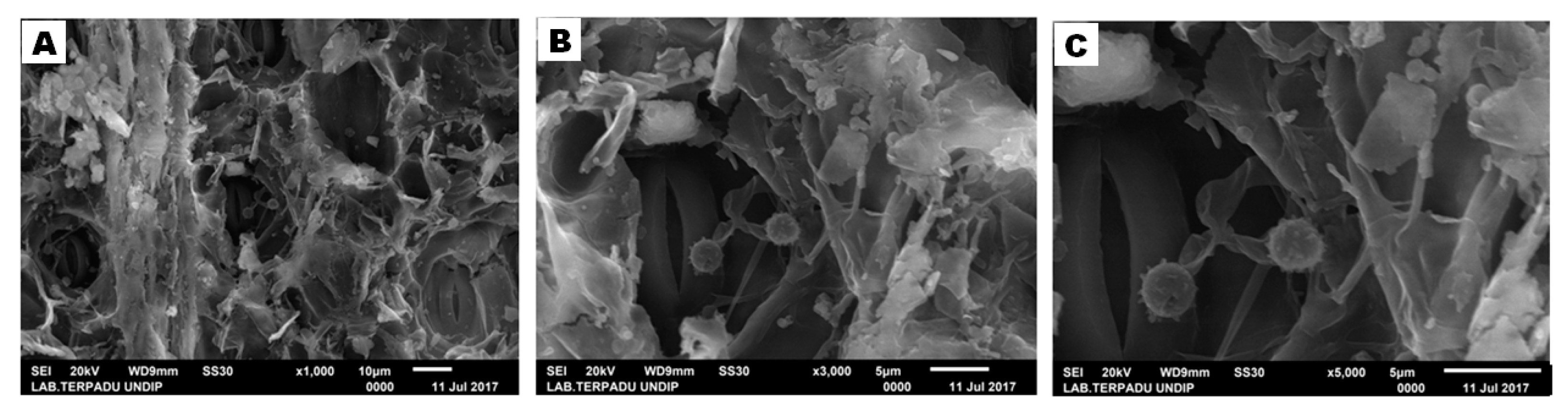 Fibers 07 00085 g010