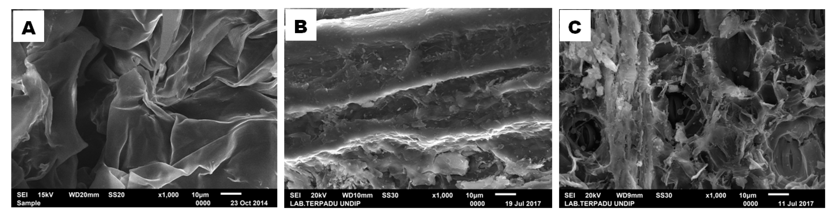 Fibers 07 00085 g011