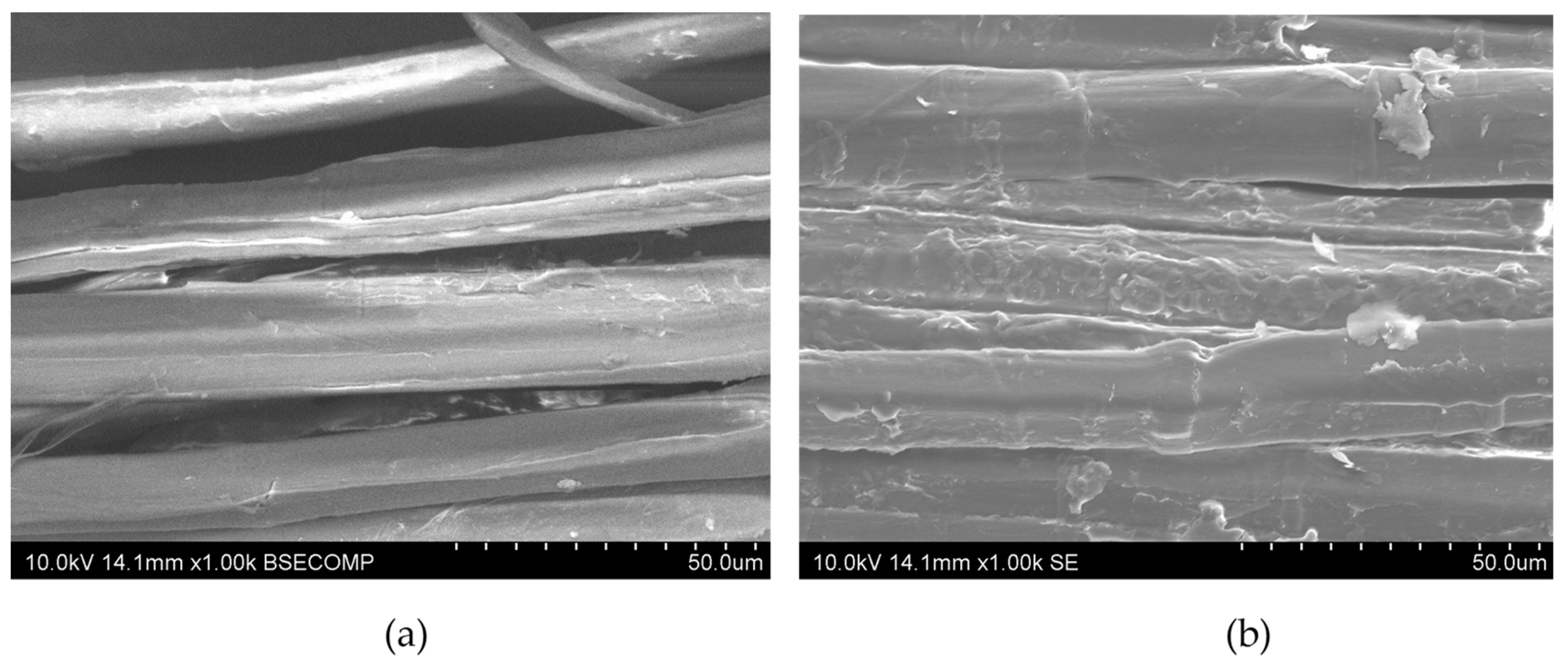 Fibers 07 00086 g007 550