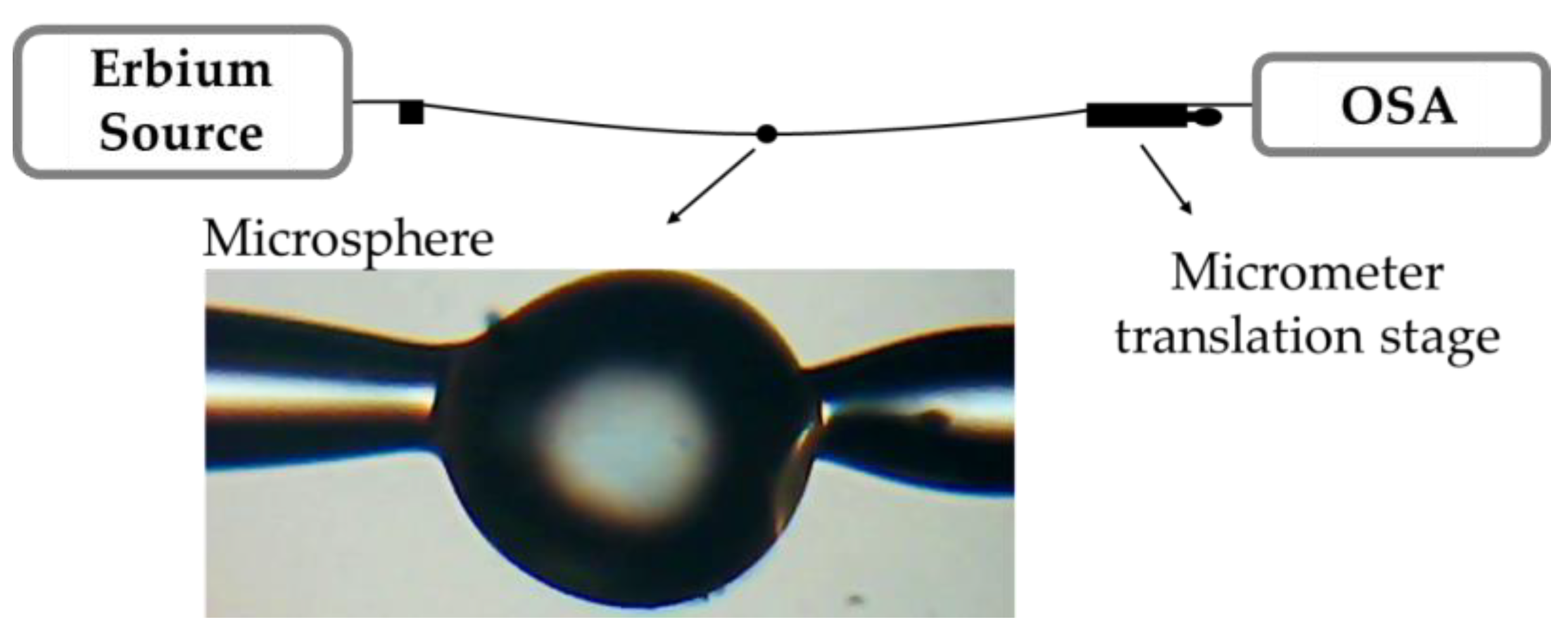 Fibers 07 00087 g002 Fibers 07 00087 g002