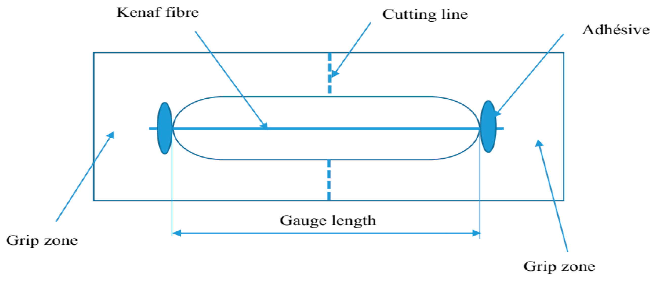 Fibers 07 00089 g001