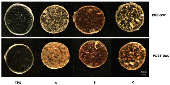 Fibers | Special Issue : Plant Fibers