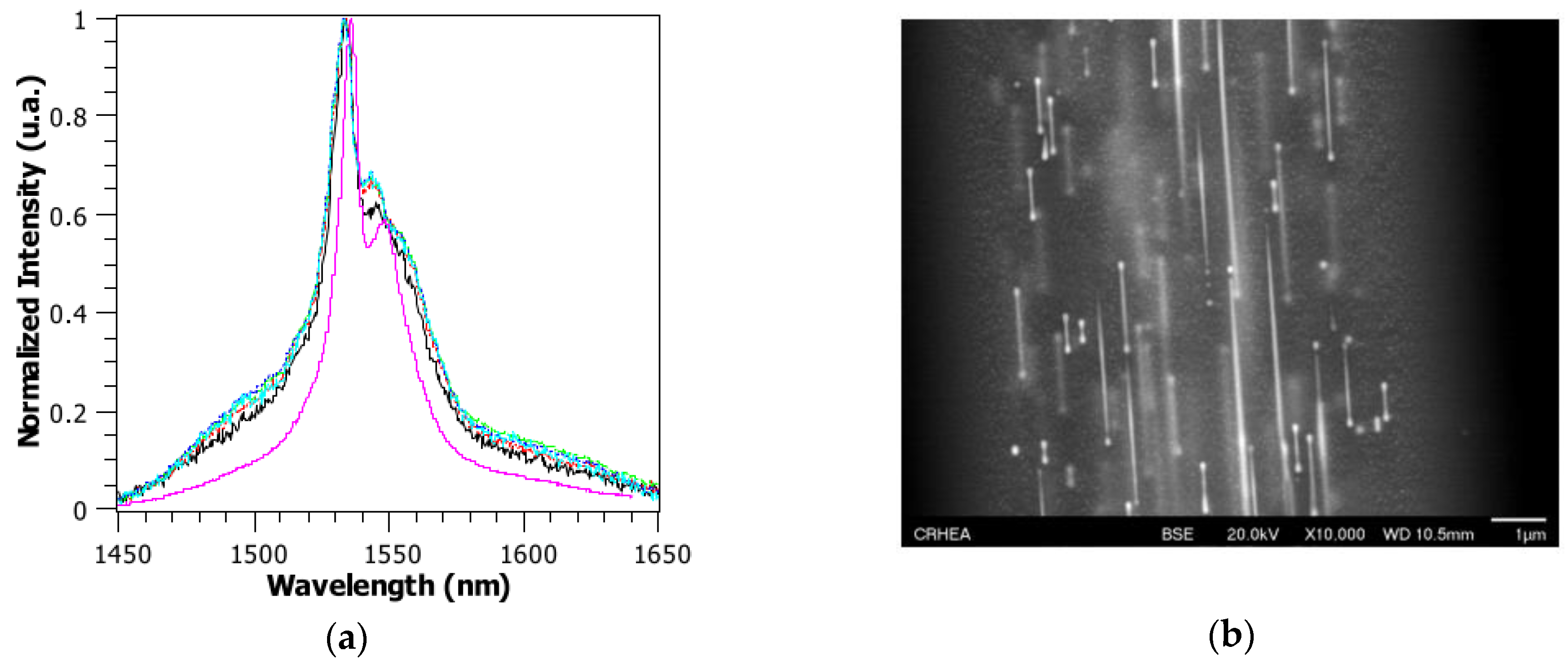 Fibers 07 00105 g006